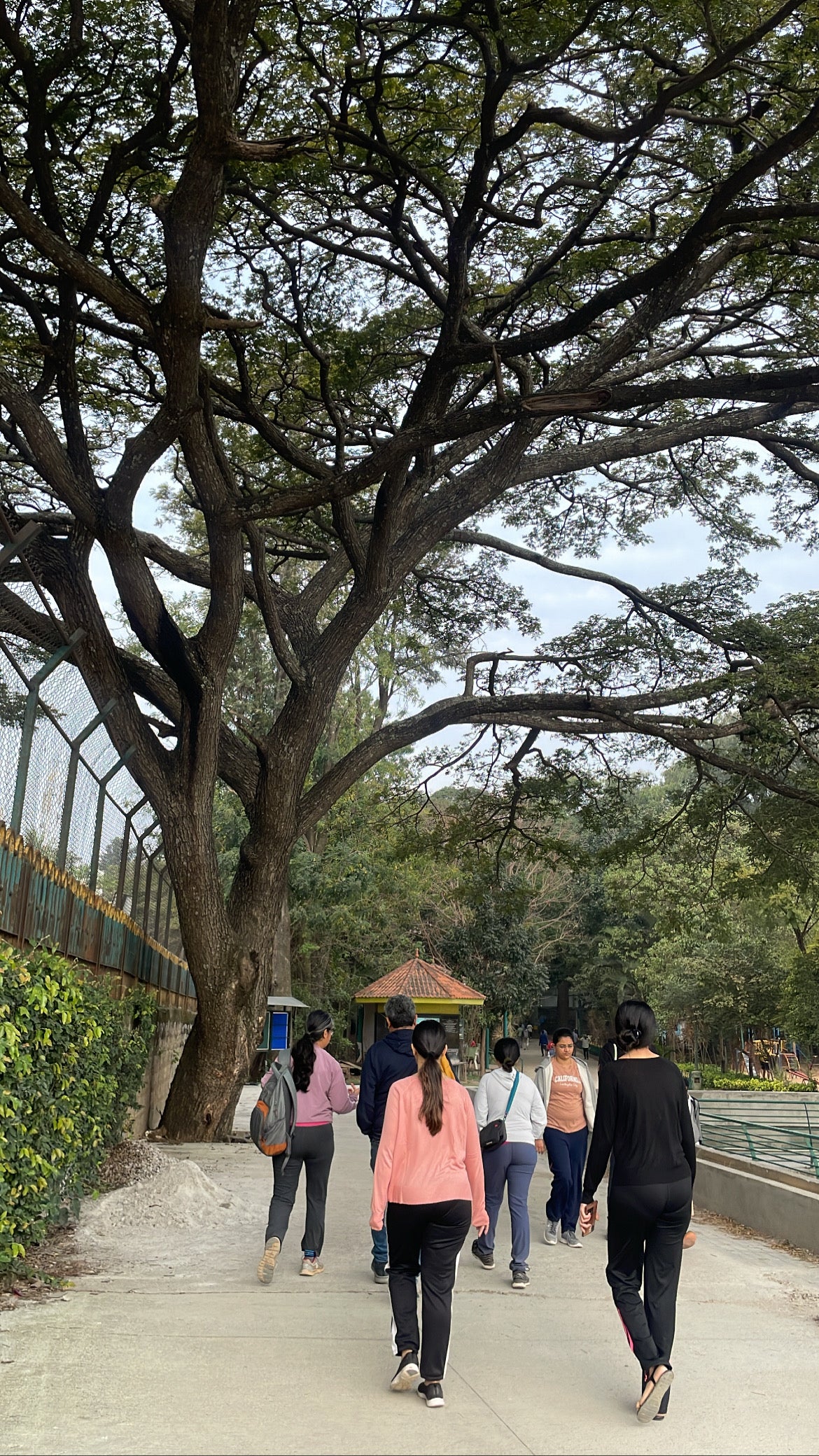 Nature Walk at Sankey Tank