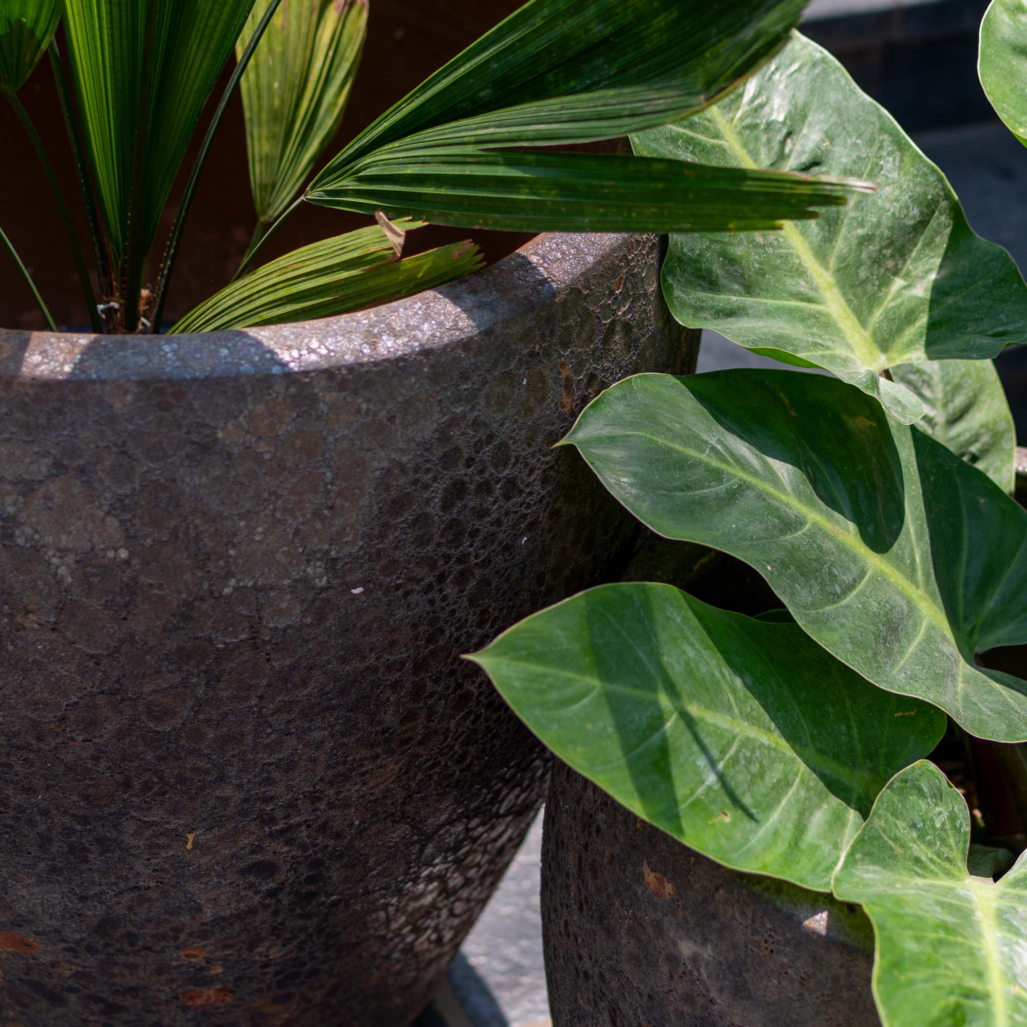Grained Antique Ceramic Pot