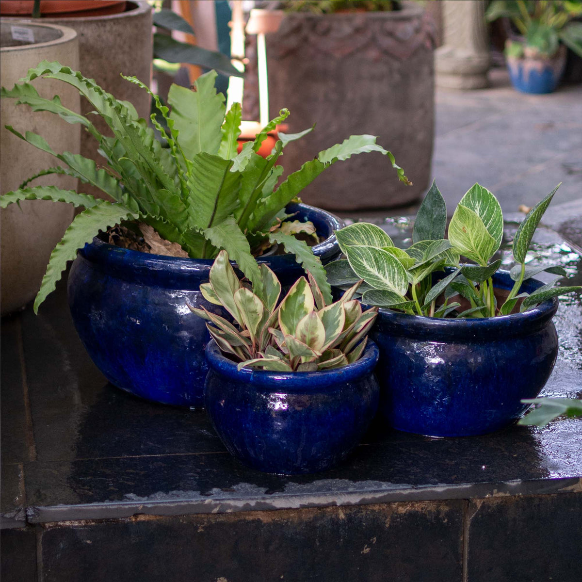 Vetle Ceramic Glazed Pot