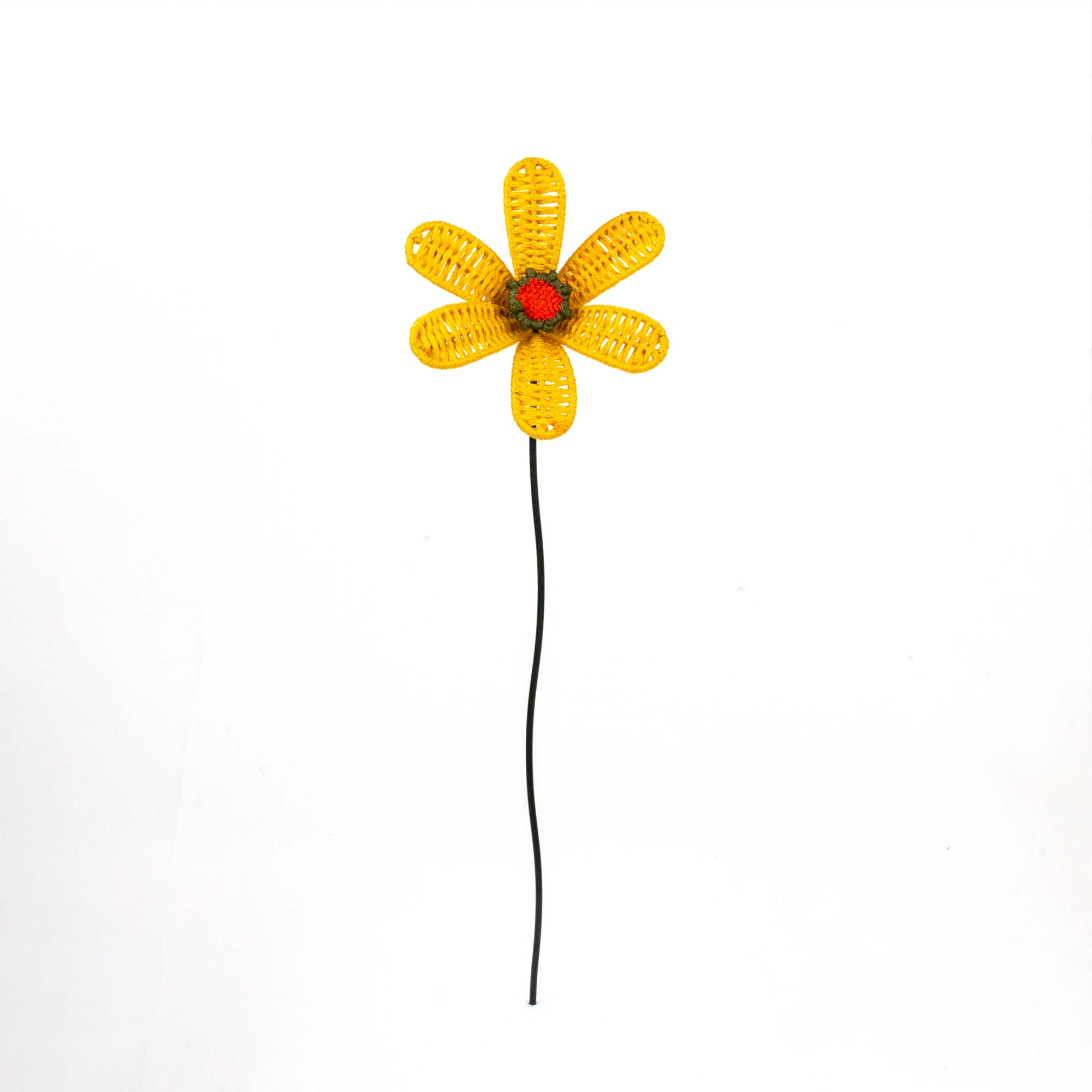Bloom Patio Marigold Flower Classic