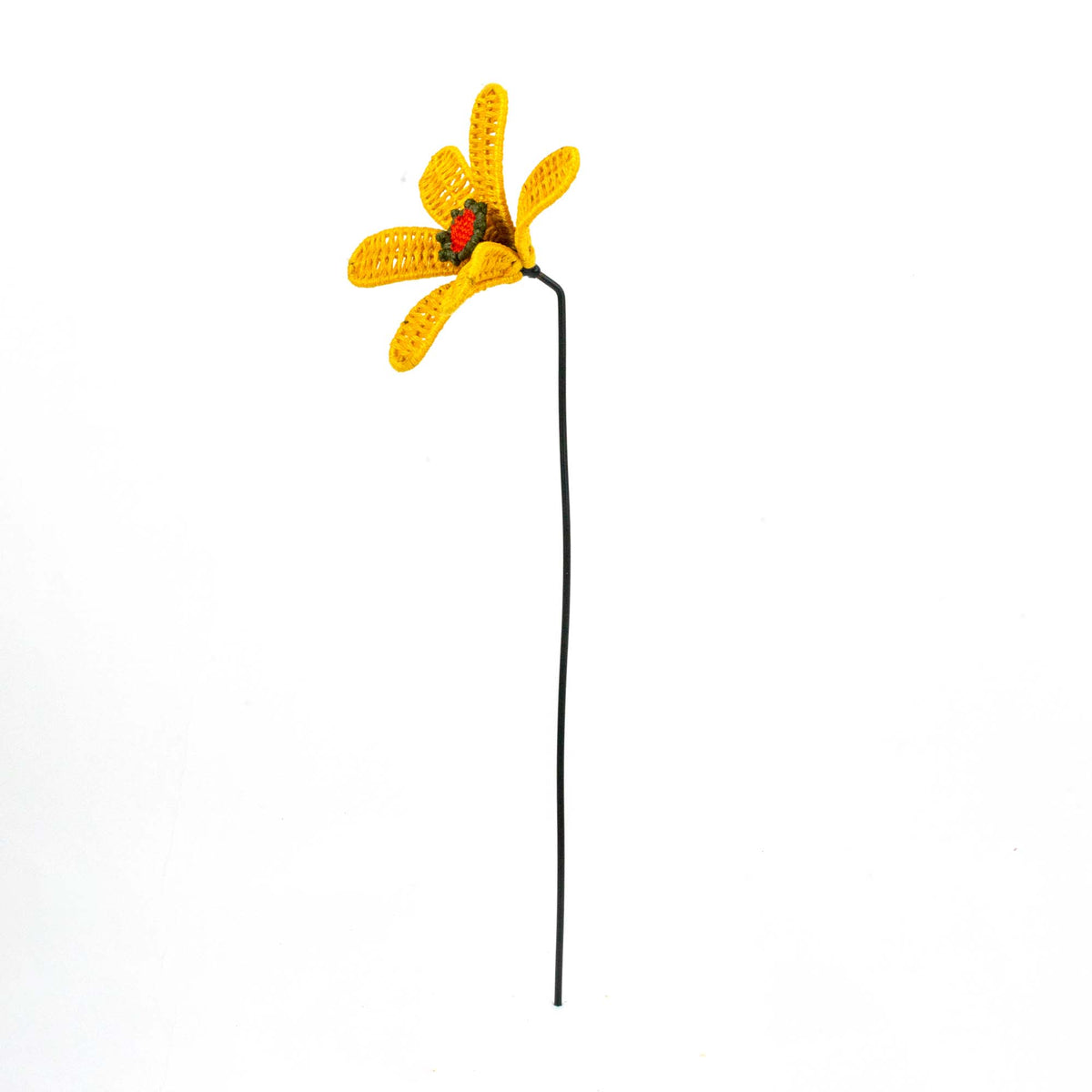 Bloom Patio Marigold Flower Classic