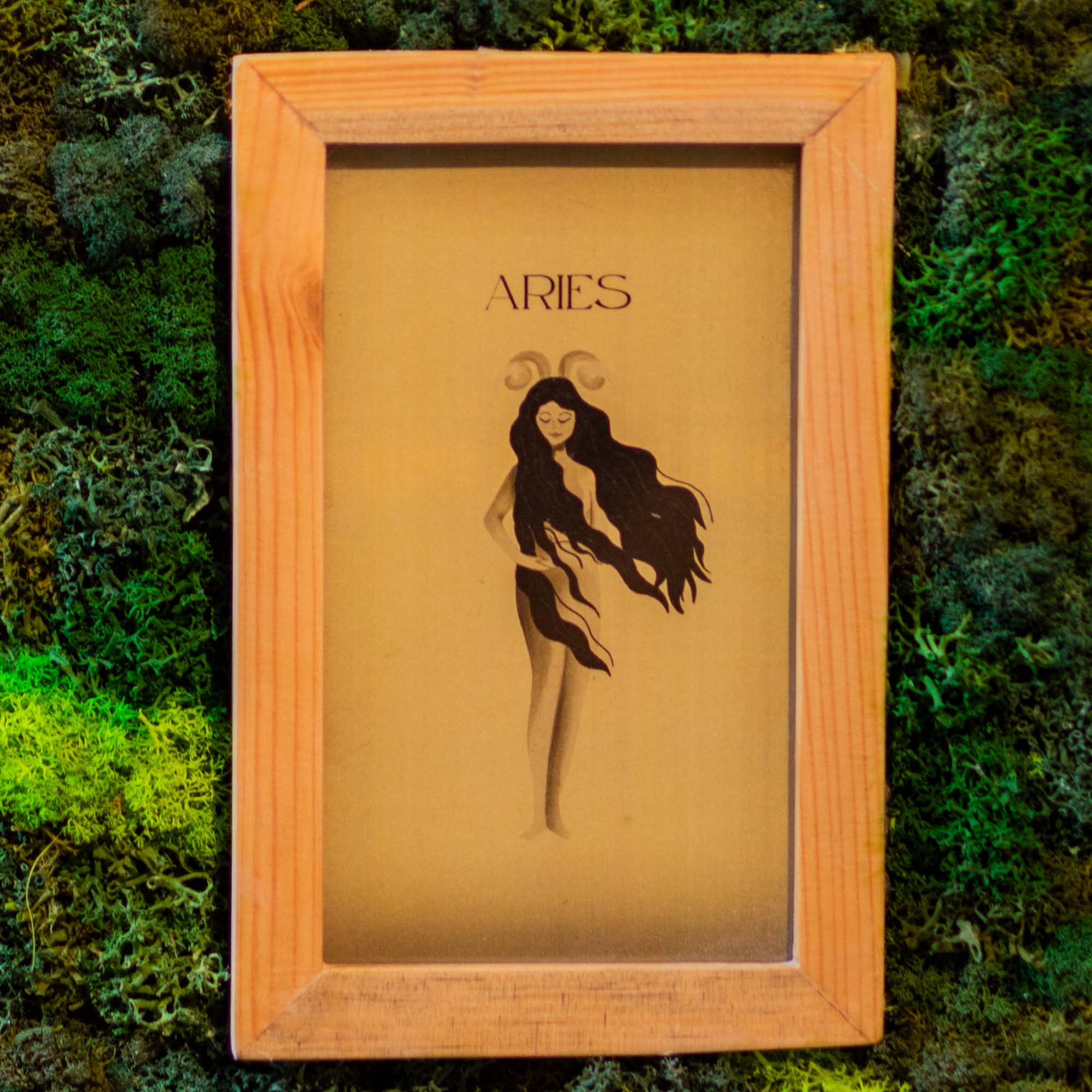 Aries Moss Frame With Key Holder