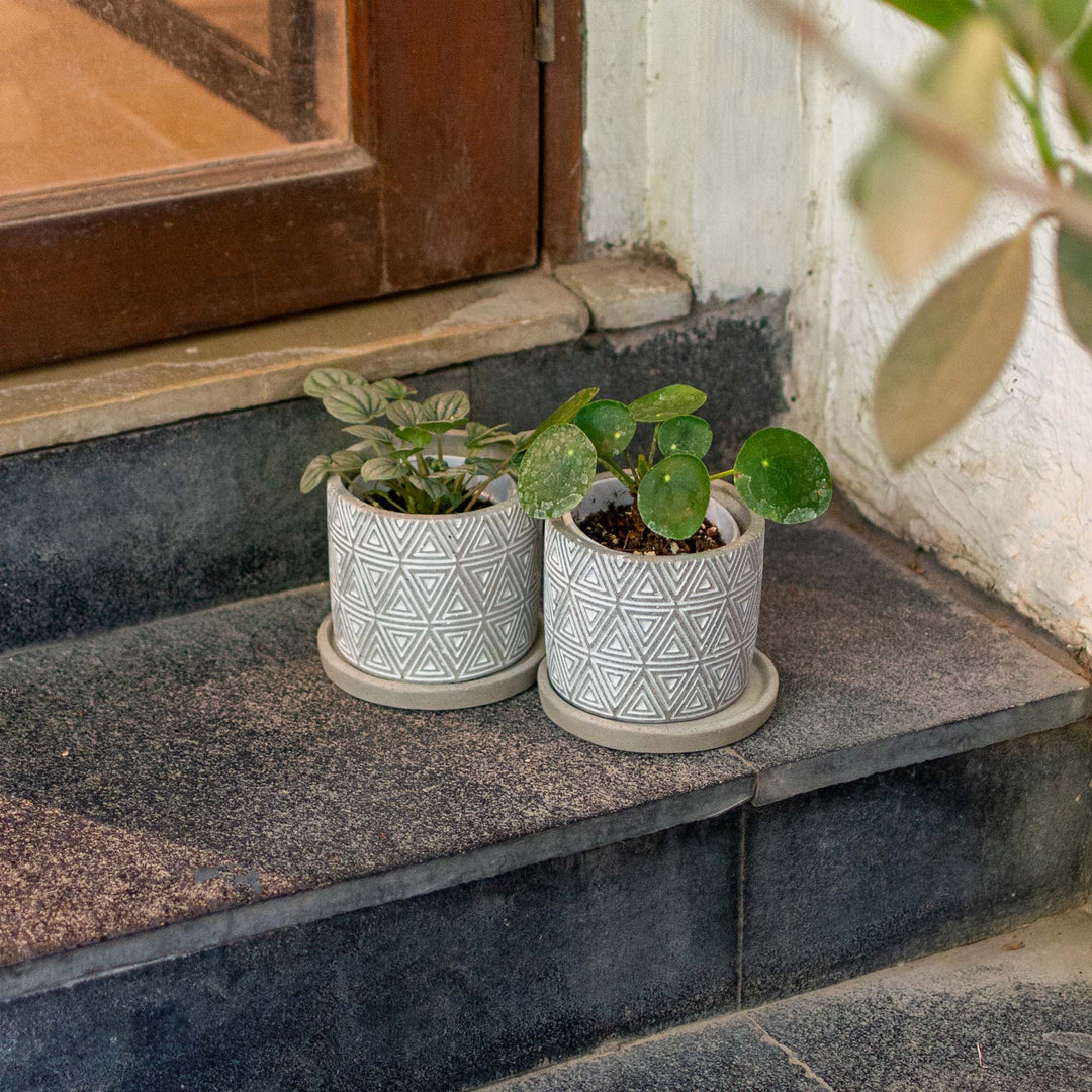 Geometric Pattern Planter with Drainage Plate