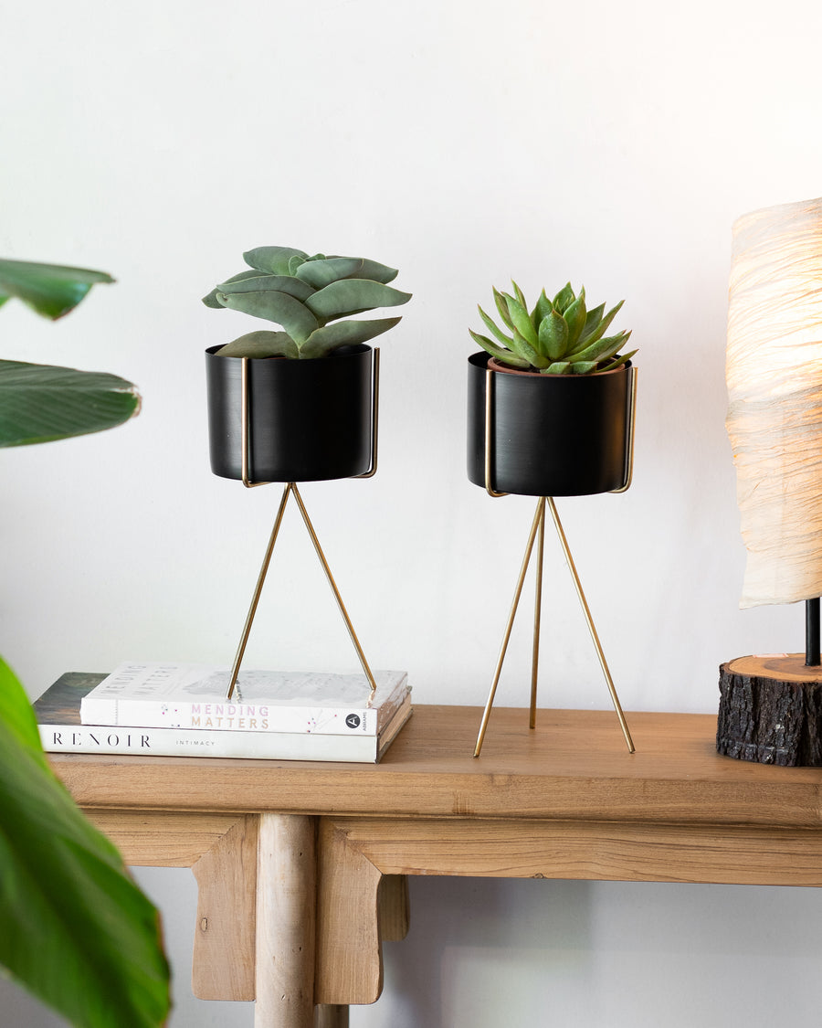 Black planter with golden stand