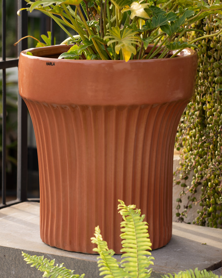 Charcoal Reality Coral Pink Planter