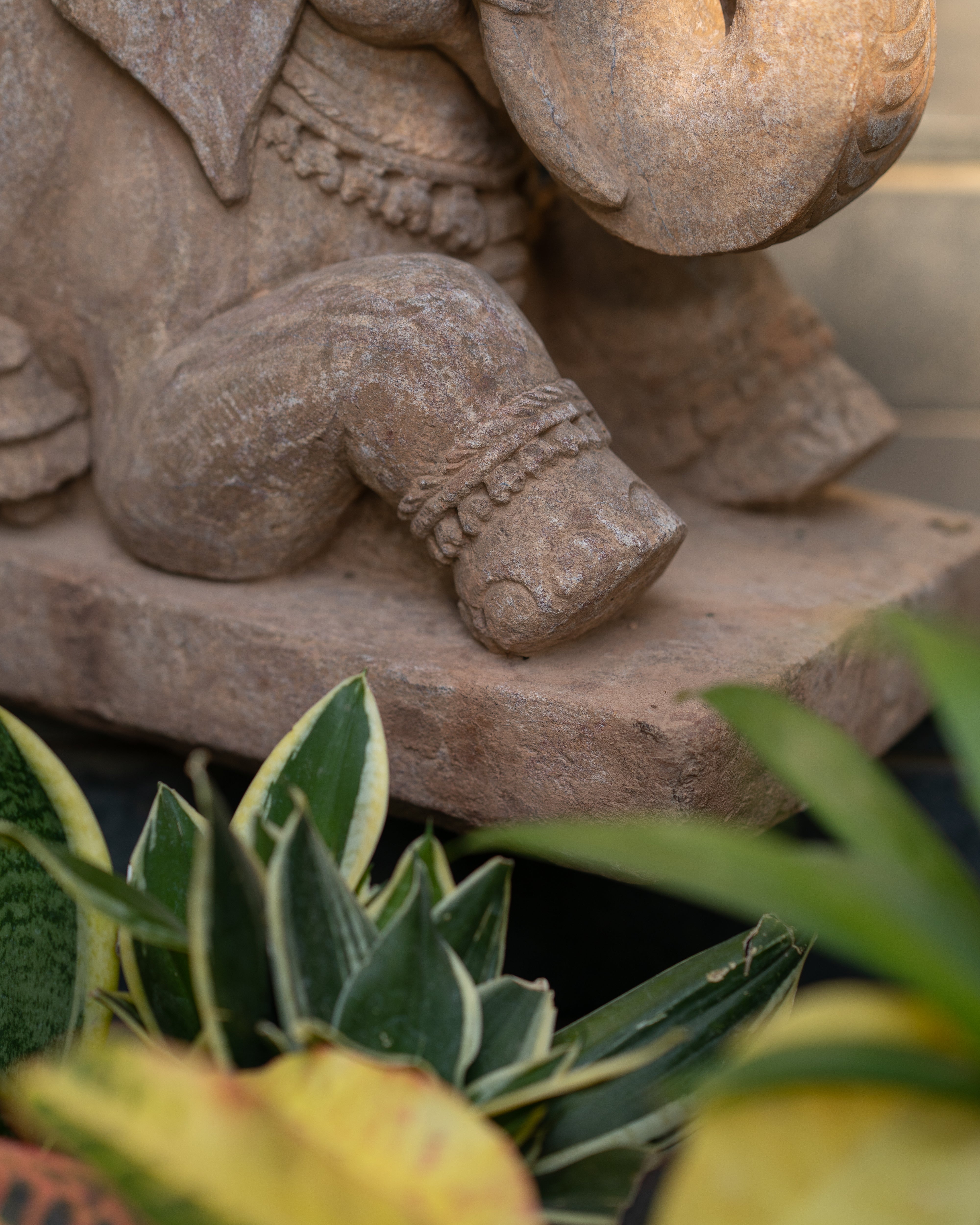 Seated Elephant