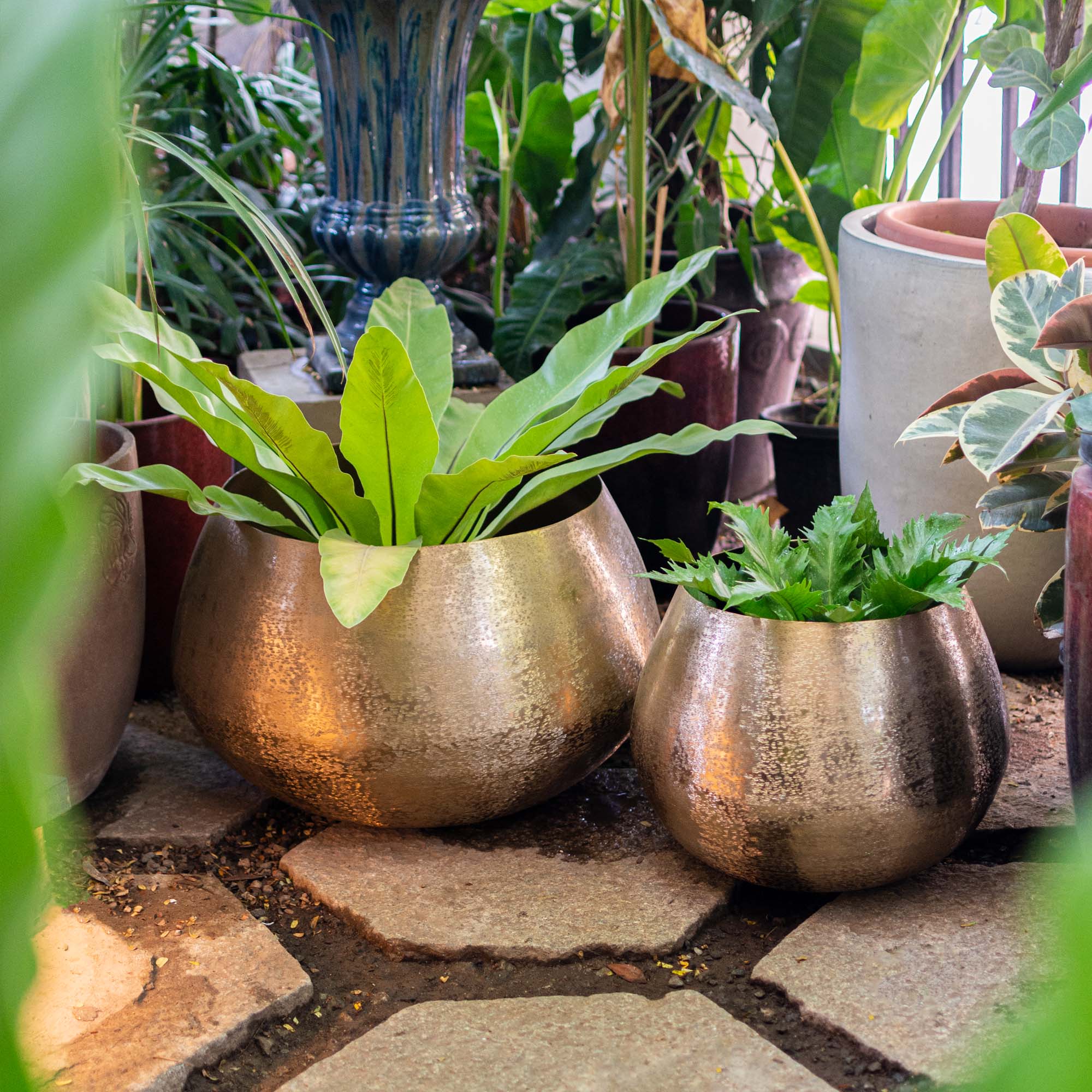 Stout metal Pot