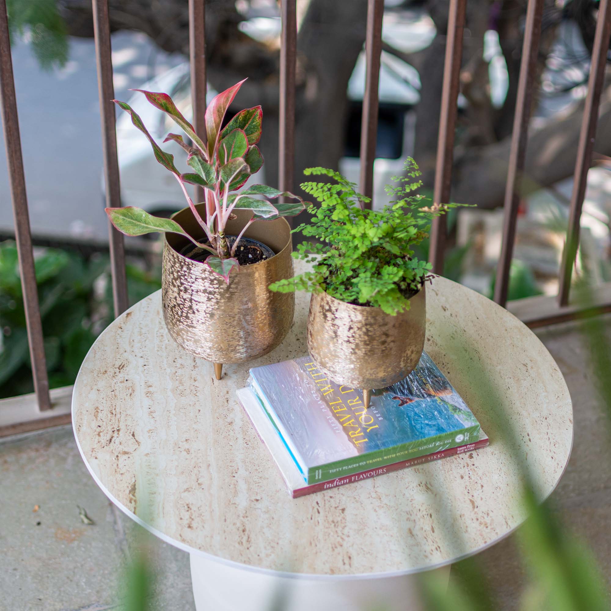 Metal Planter with legs