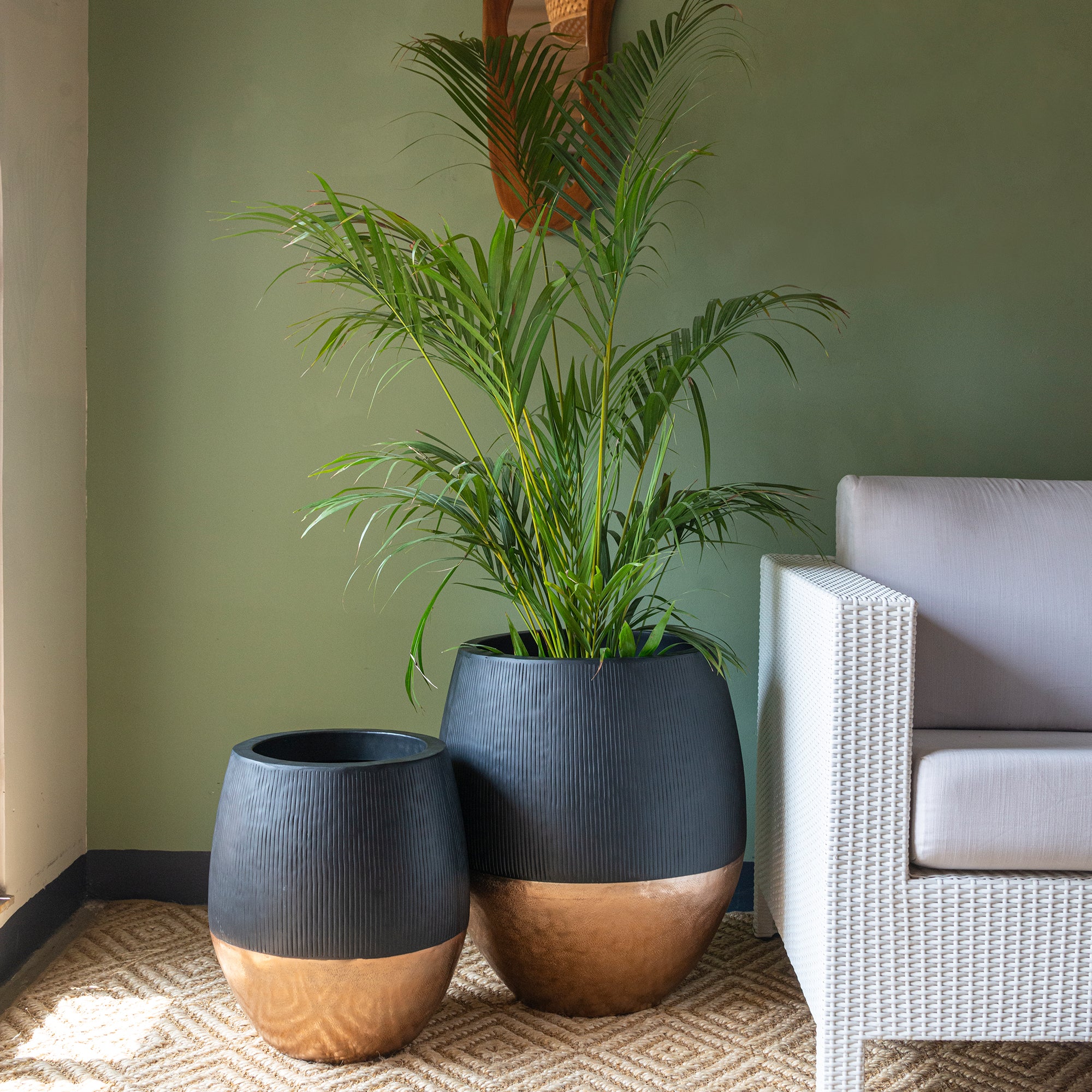 Black Fluted Pot