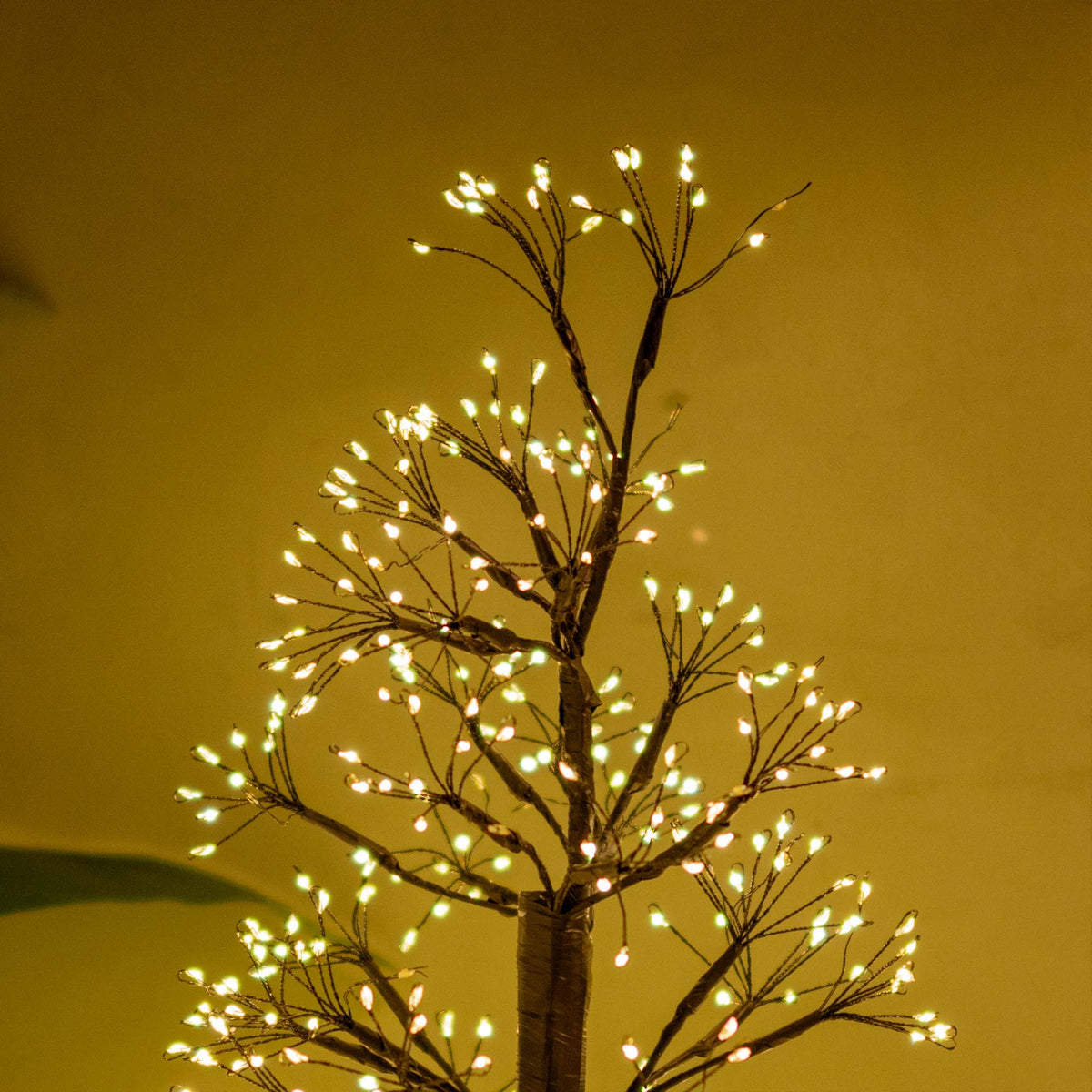 Micro Led Pine Christmas Tree With Adapter - 5 Feet