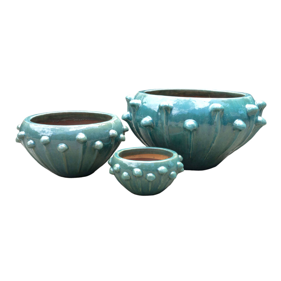 VOLTERRA Bowl Pot
