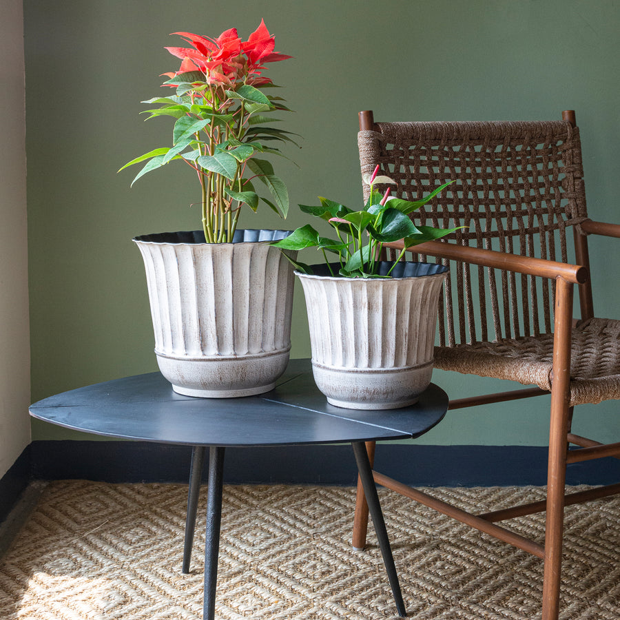 Ivory Black Planter Fluted