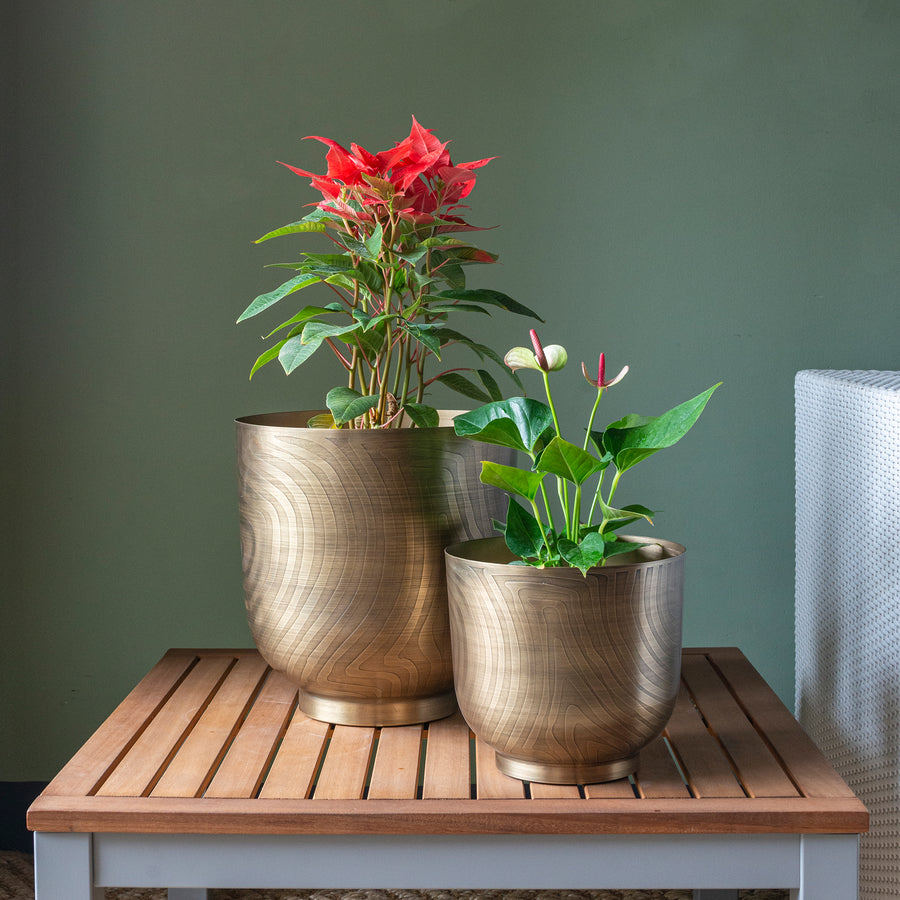 Etched Pot