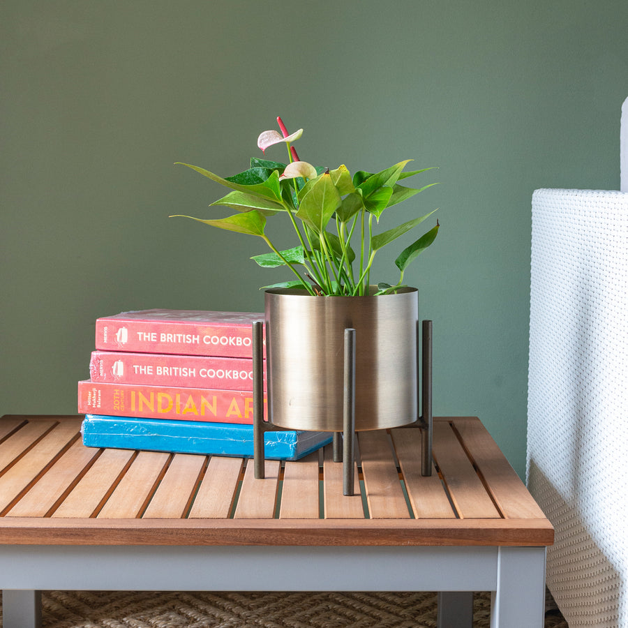 Gold Planter with stand