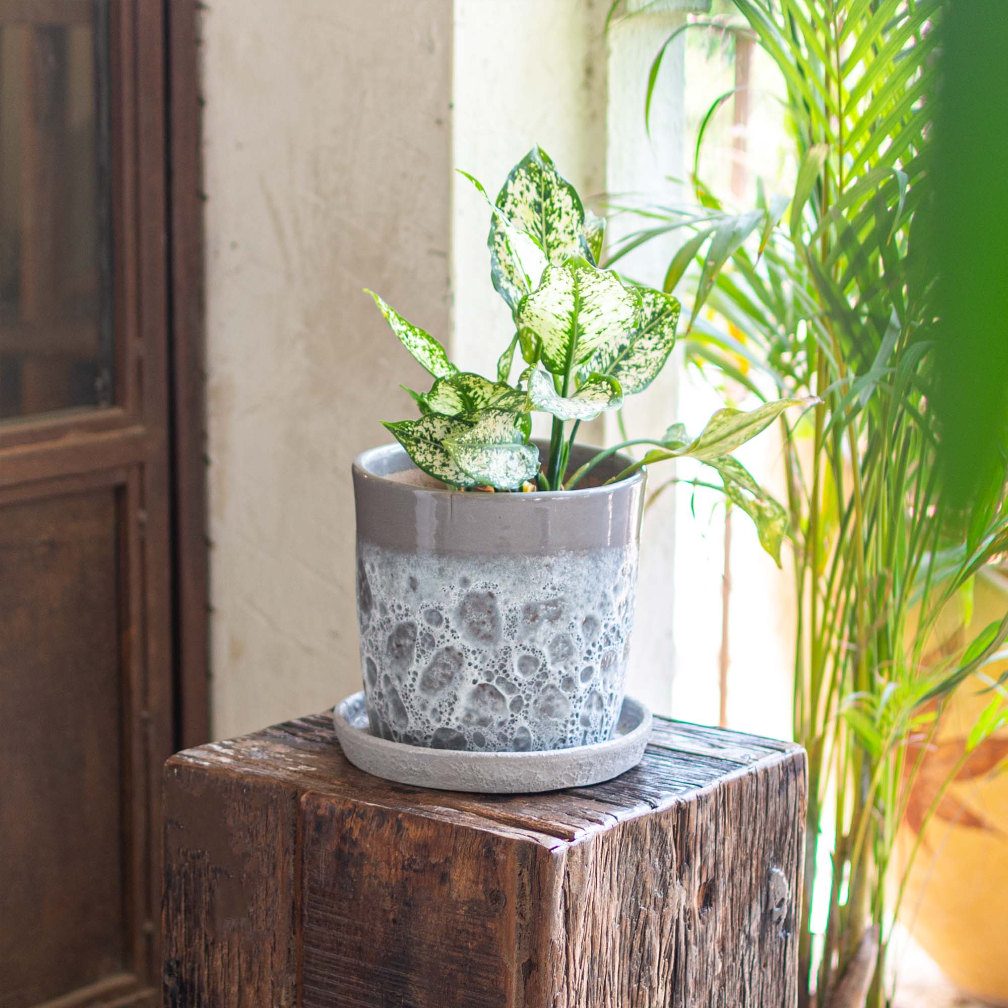 Round Cylinder Pot With Saucer Set Light Grey
