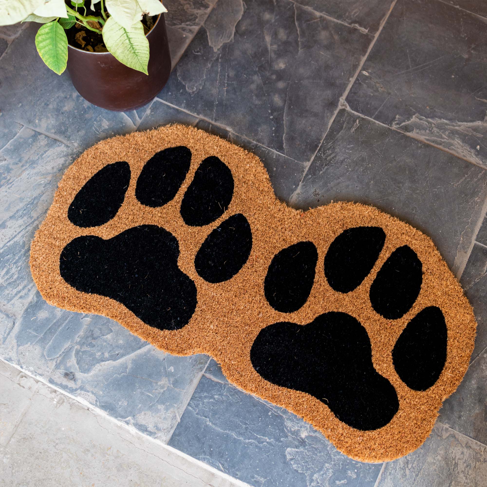 PVC Backed Coir Mat Paw