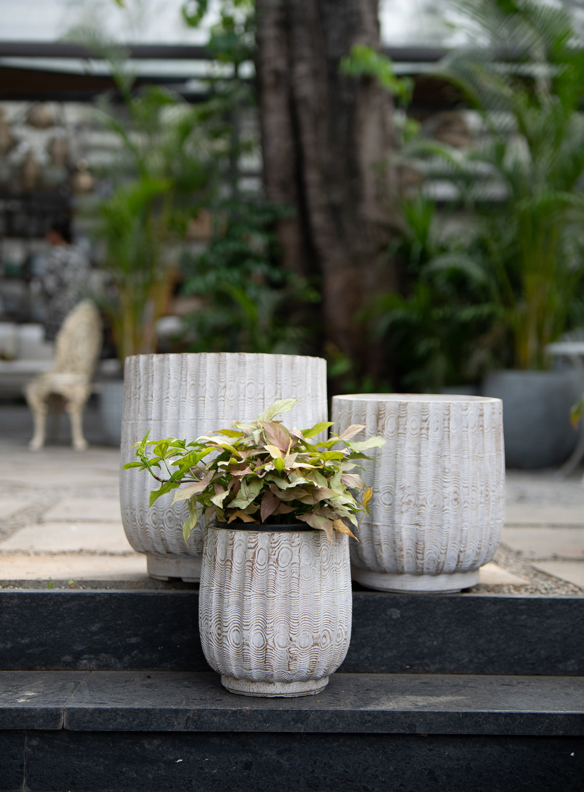 DARLA RIBBED PLANTER