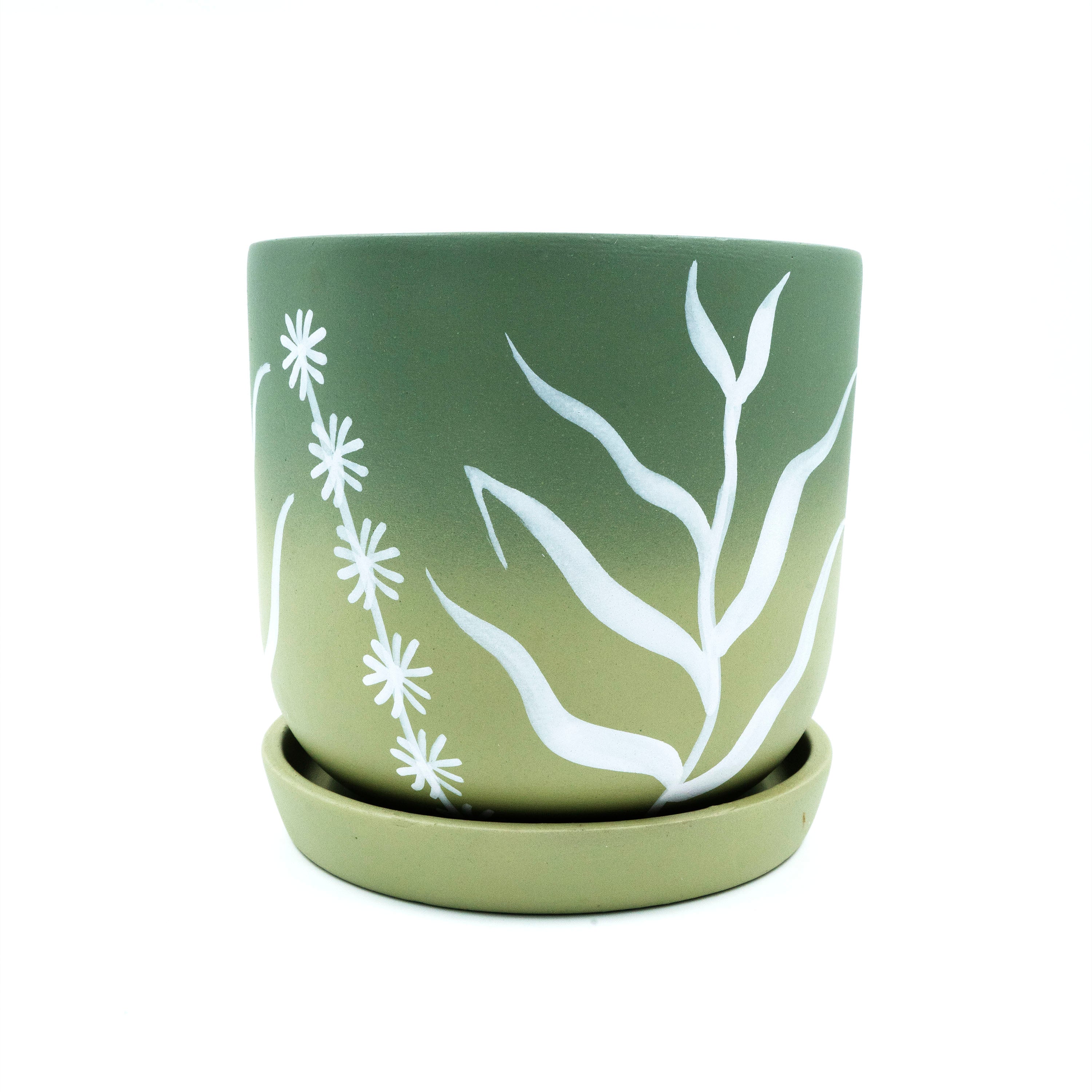 Terracotta Planter Ombre