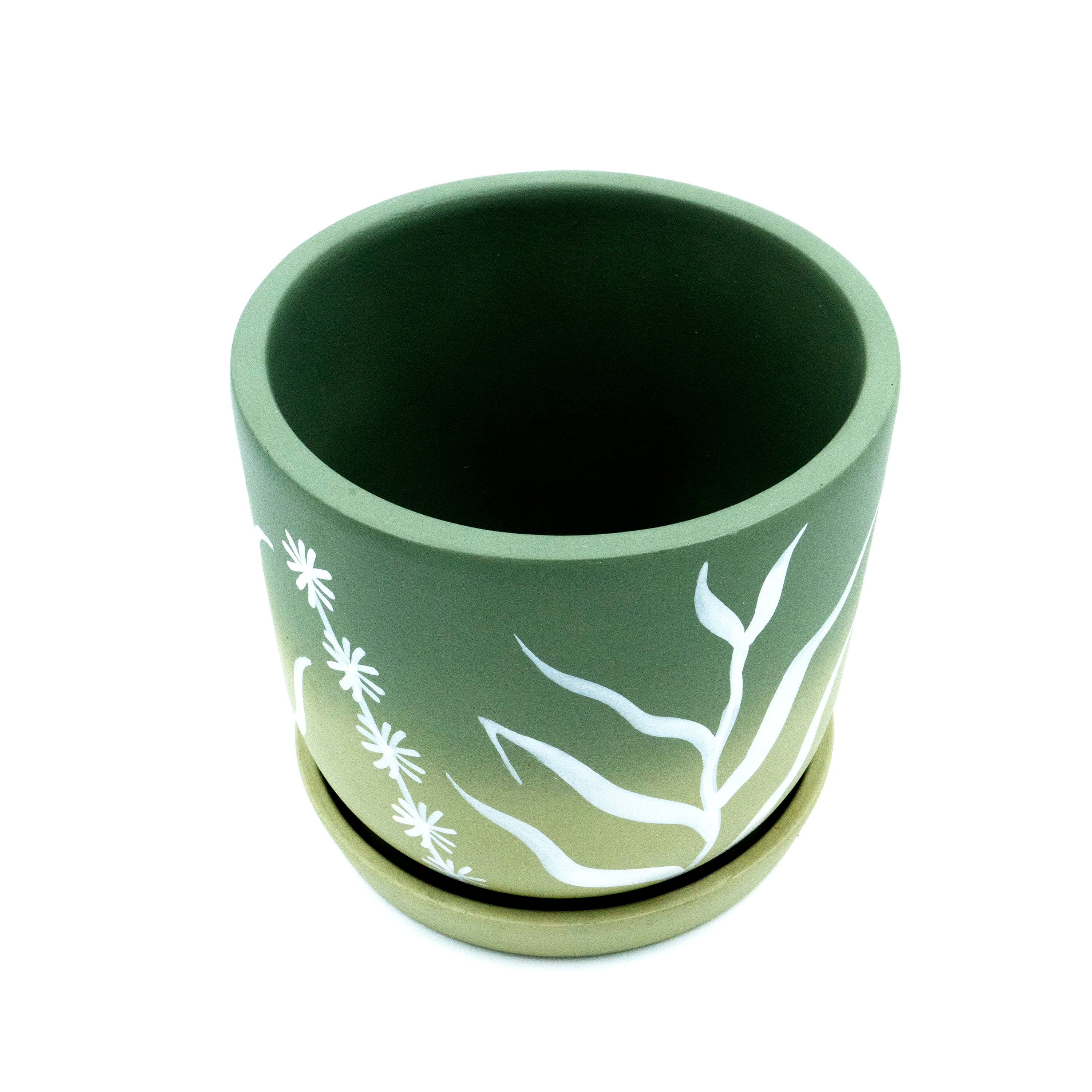 Terracotta Planter Ombre
