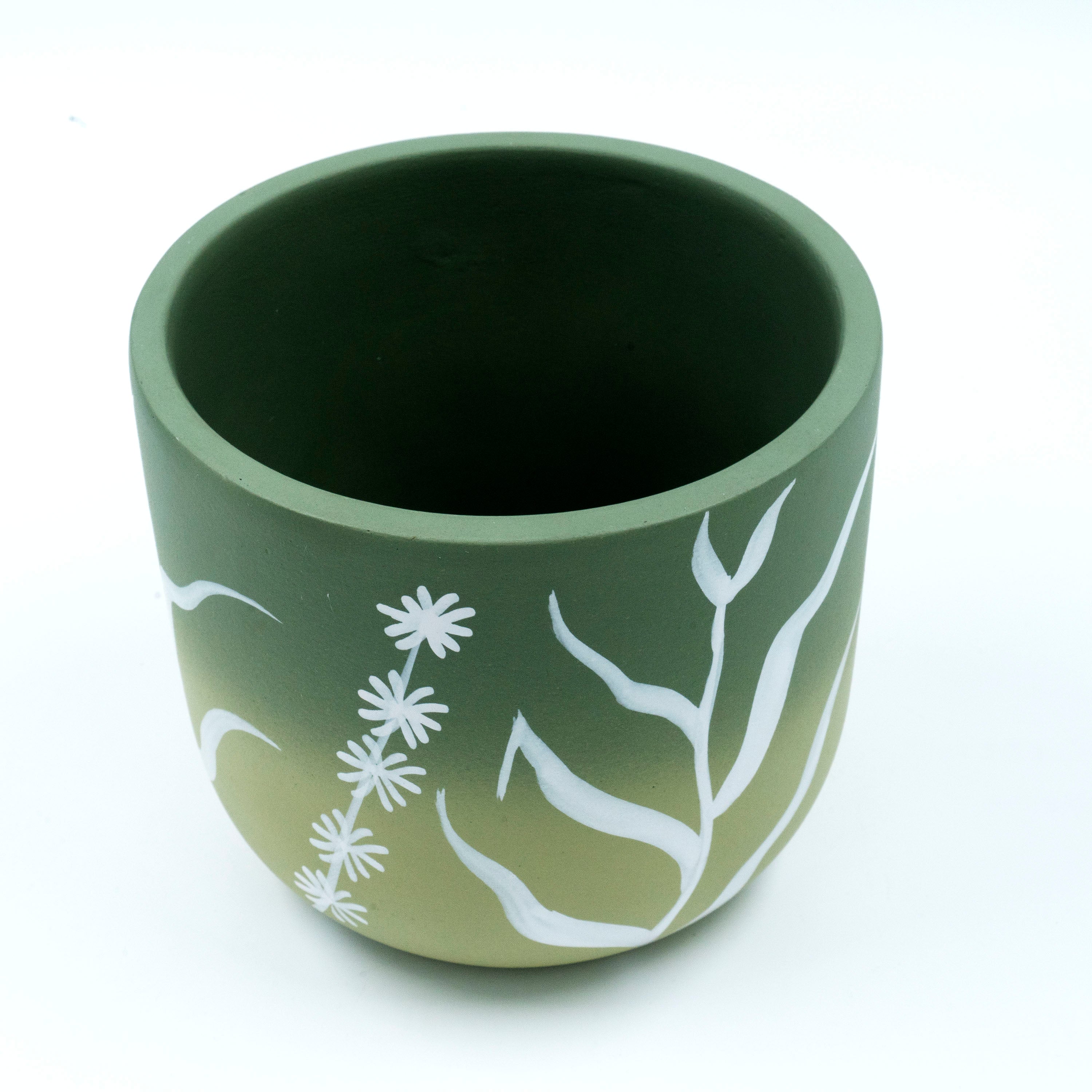 Terracotta Planter Ombre