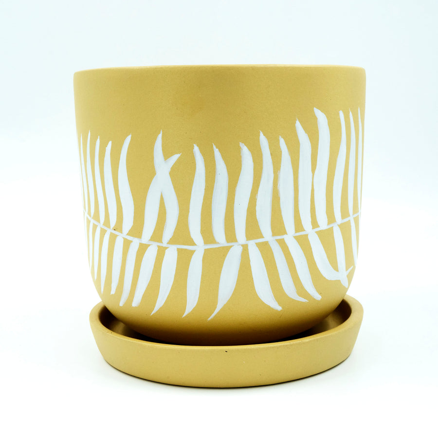 Terracotta Planter Ombre