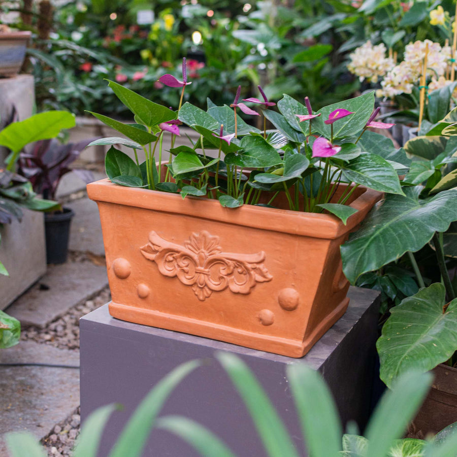 Italia Rectangle Pot