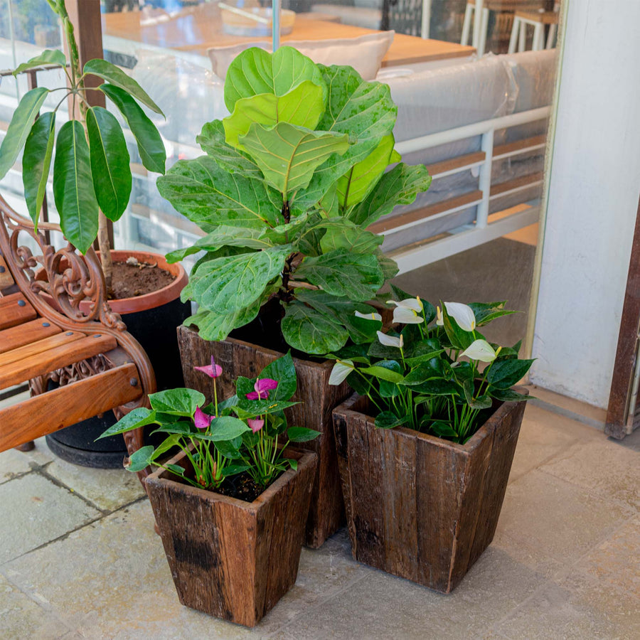Sleeper Wood Planter