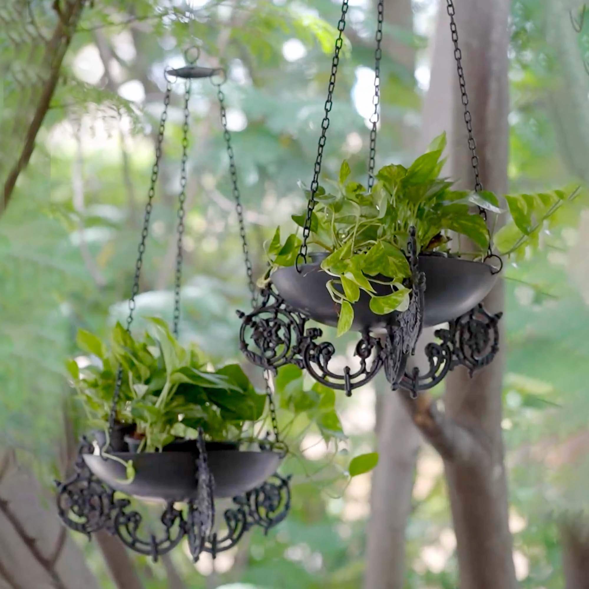 Cast Iron Hanging Planter