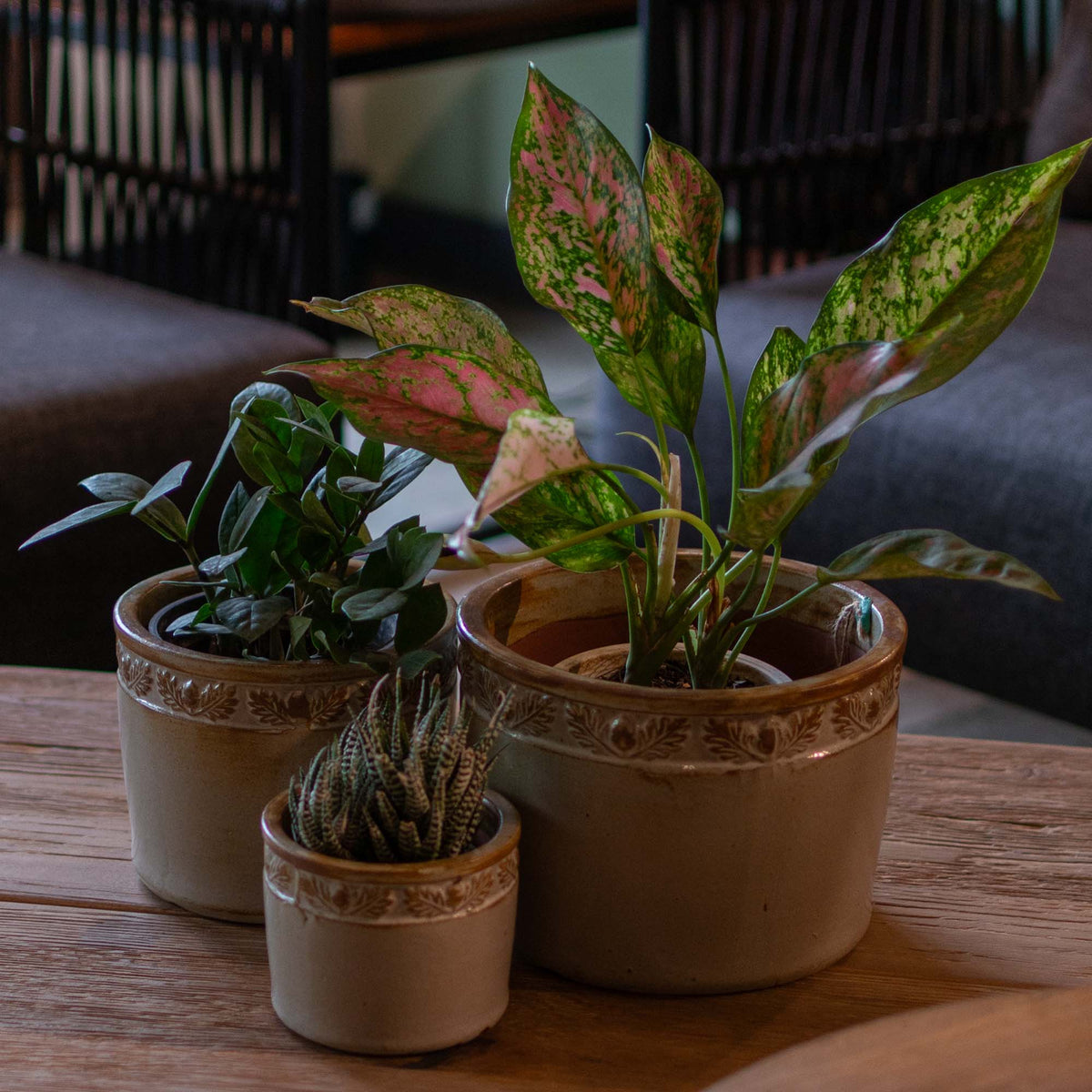 Lana Ceramic Pot