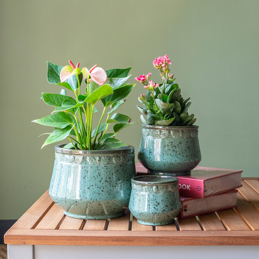 Engraved Border Ceramic Pot