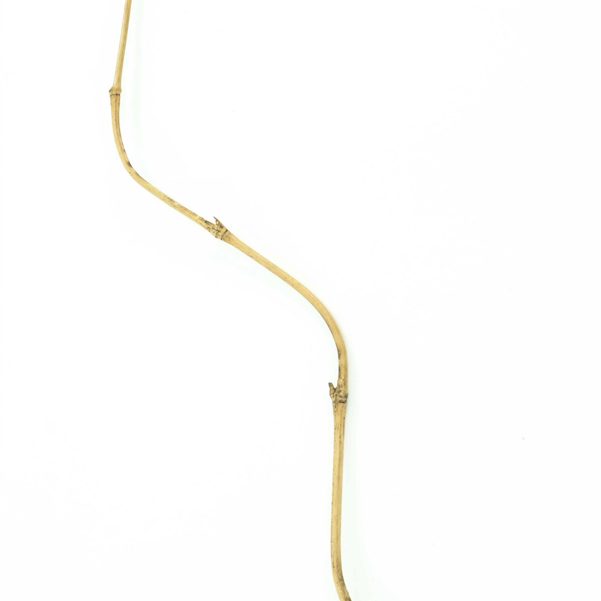 Bamboo Stick
