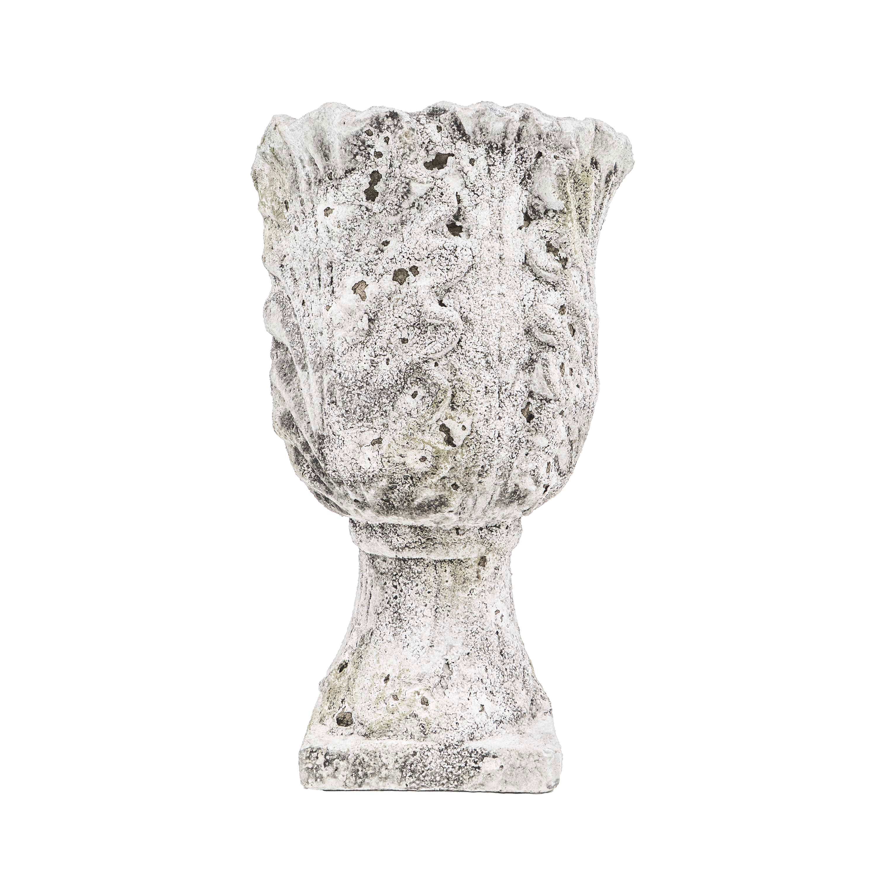 DRIFA ACANTHUS POT