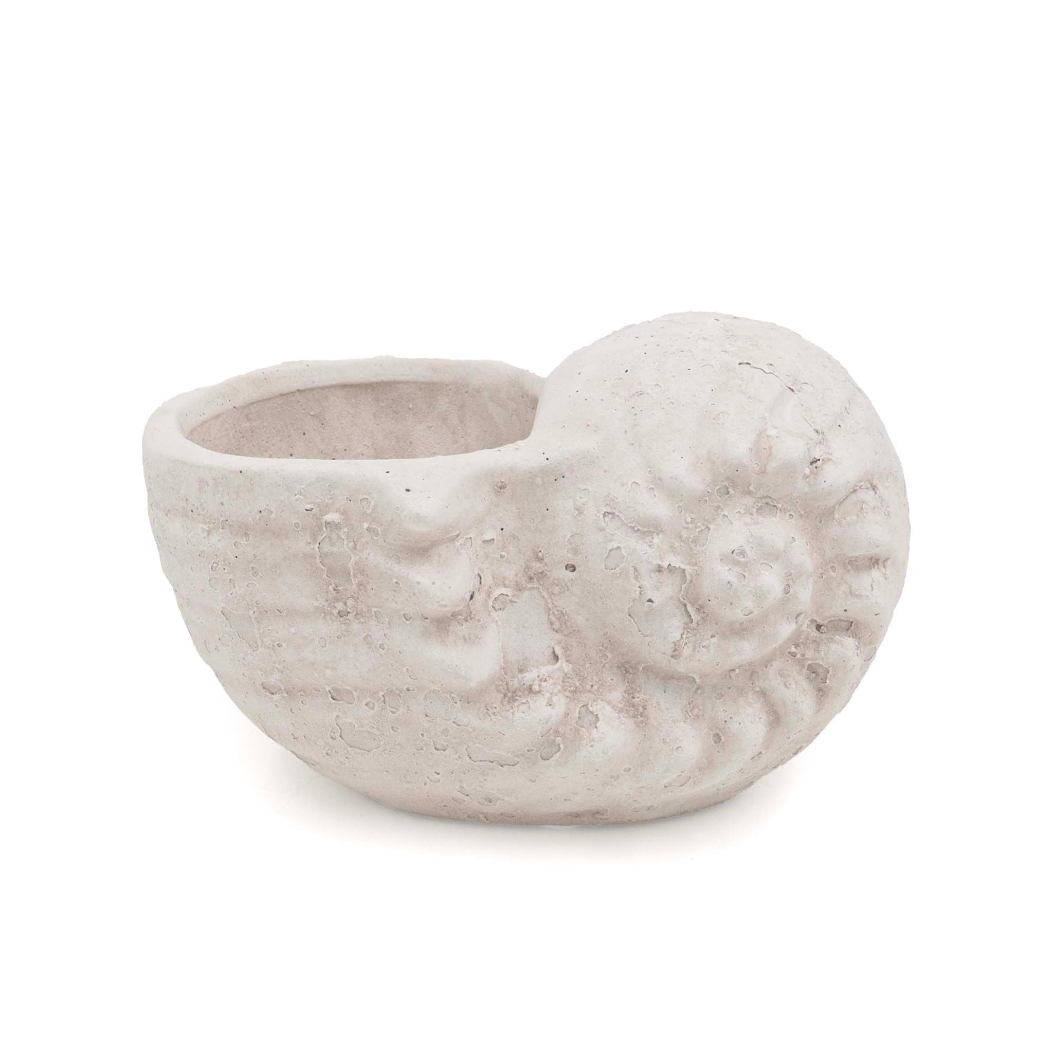 DRIFA SEASHELL POT