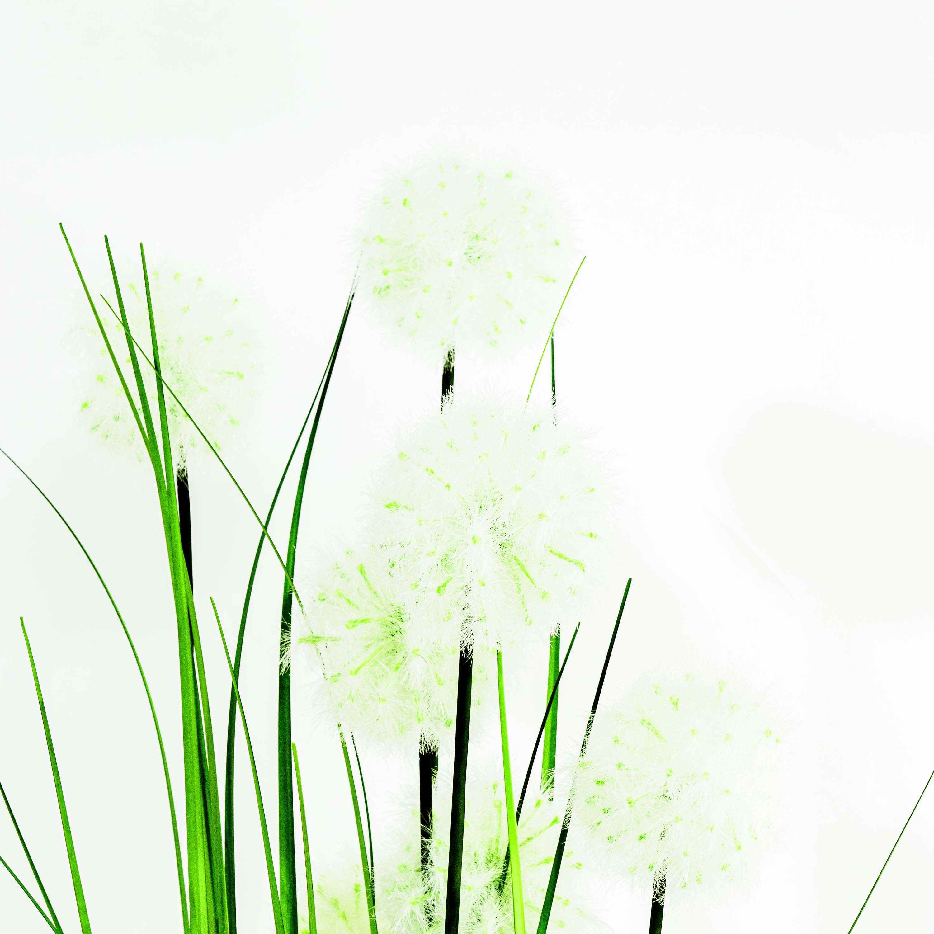 Faux Dandelion Grass With Pot - 5 Feet