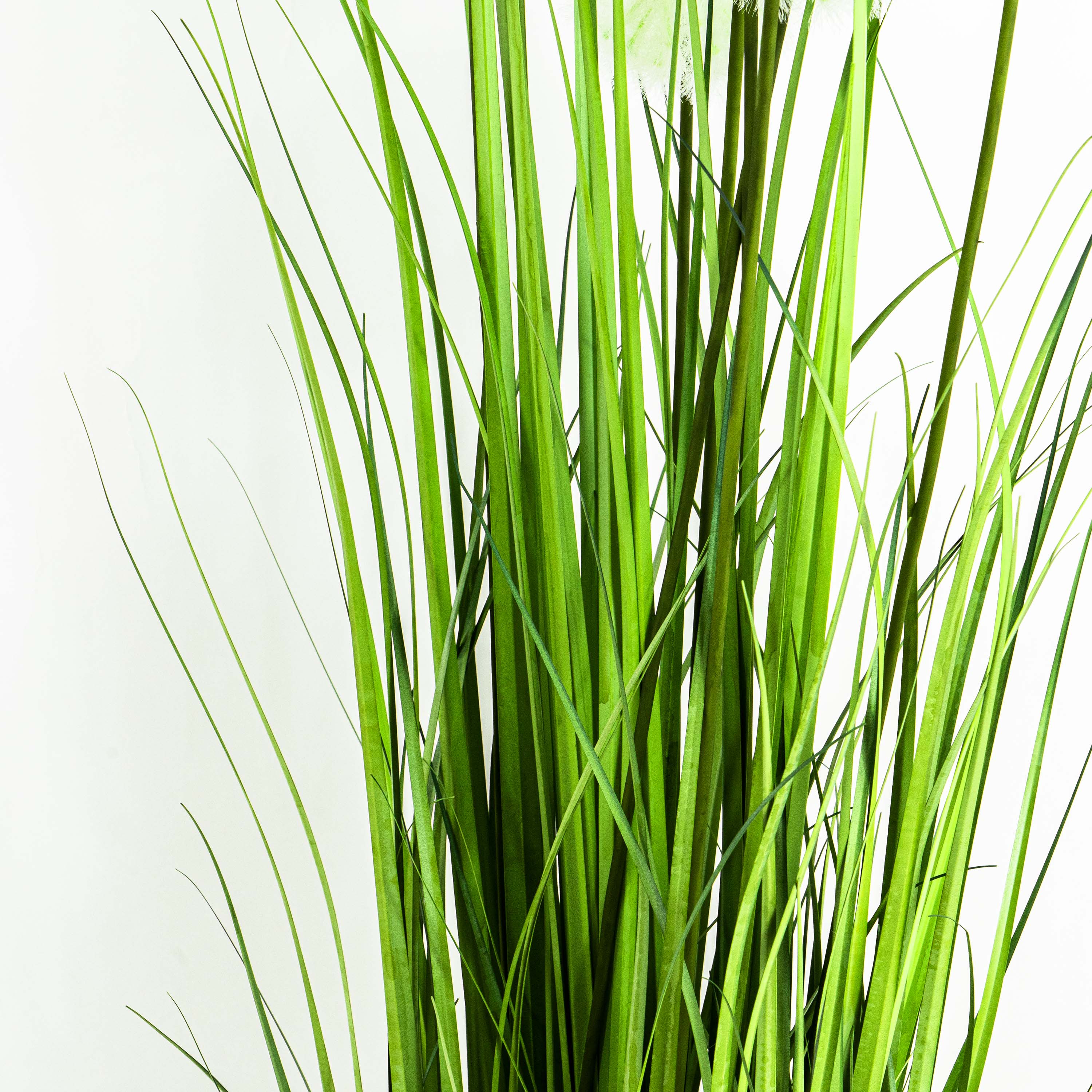 Faux Dandelion Grass With Pot - 5 Feet