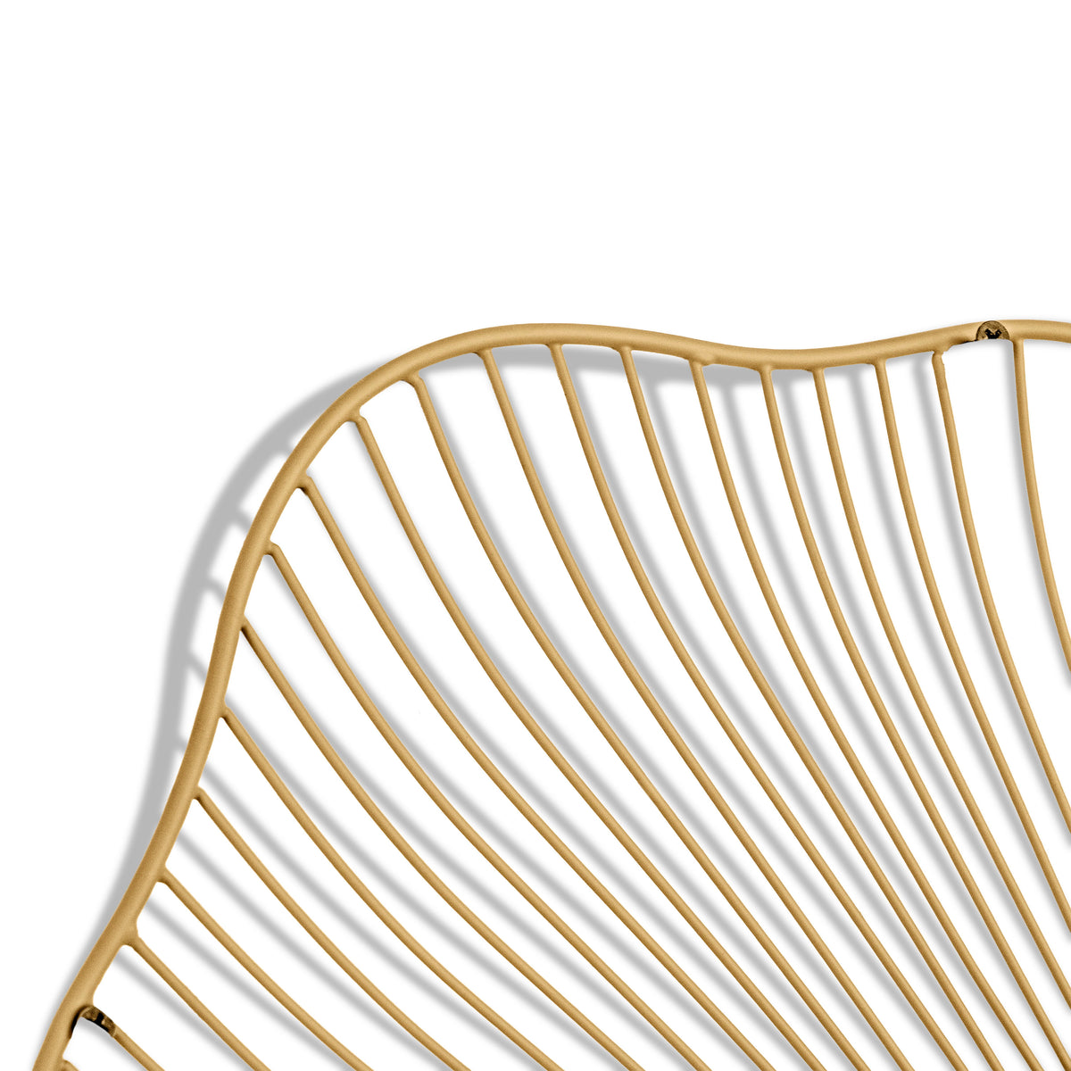 FLORA GOLDEN GINKGO LEAF