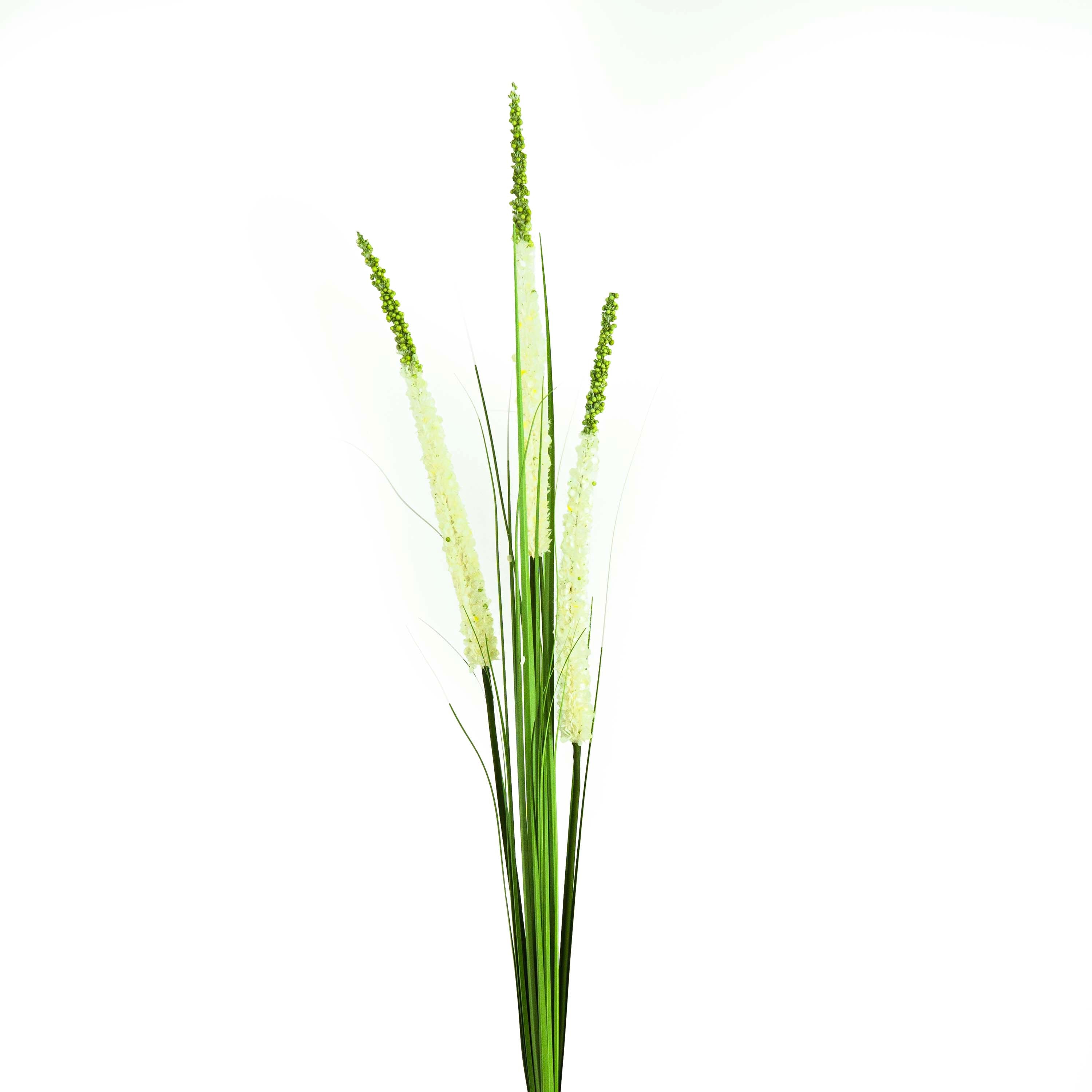 Faux Eremurus Grass - 5 Feet