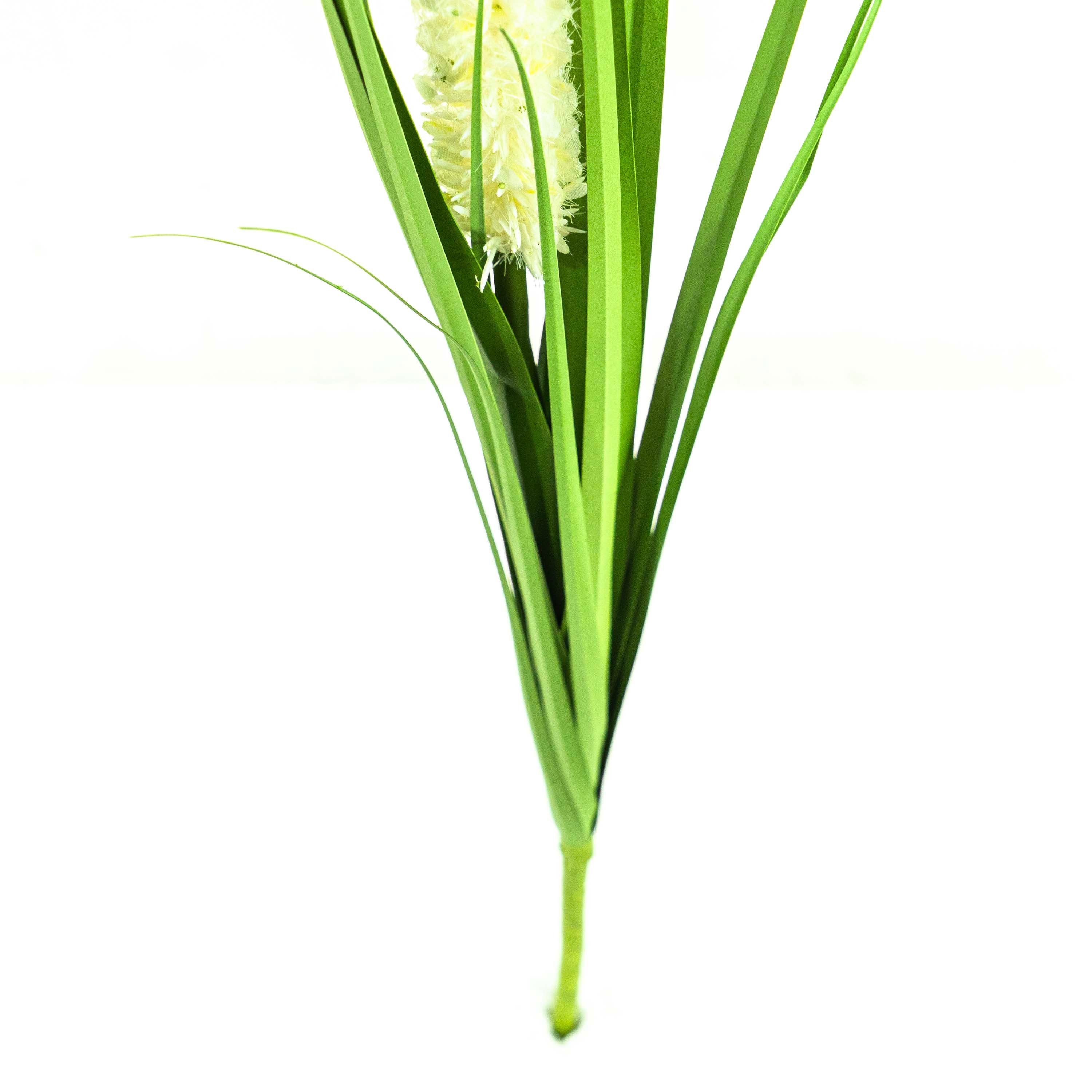Faux Eremurus Grass - 3 Feet
