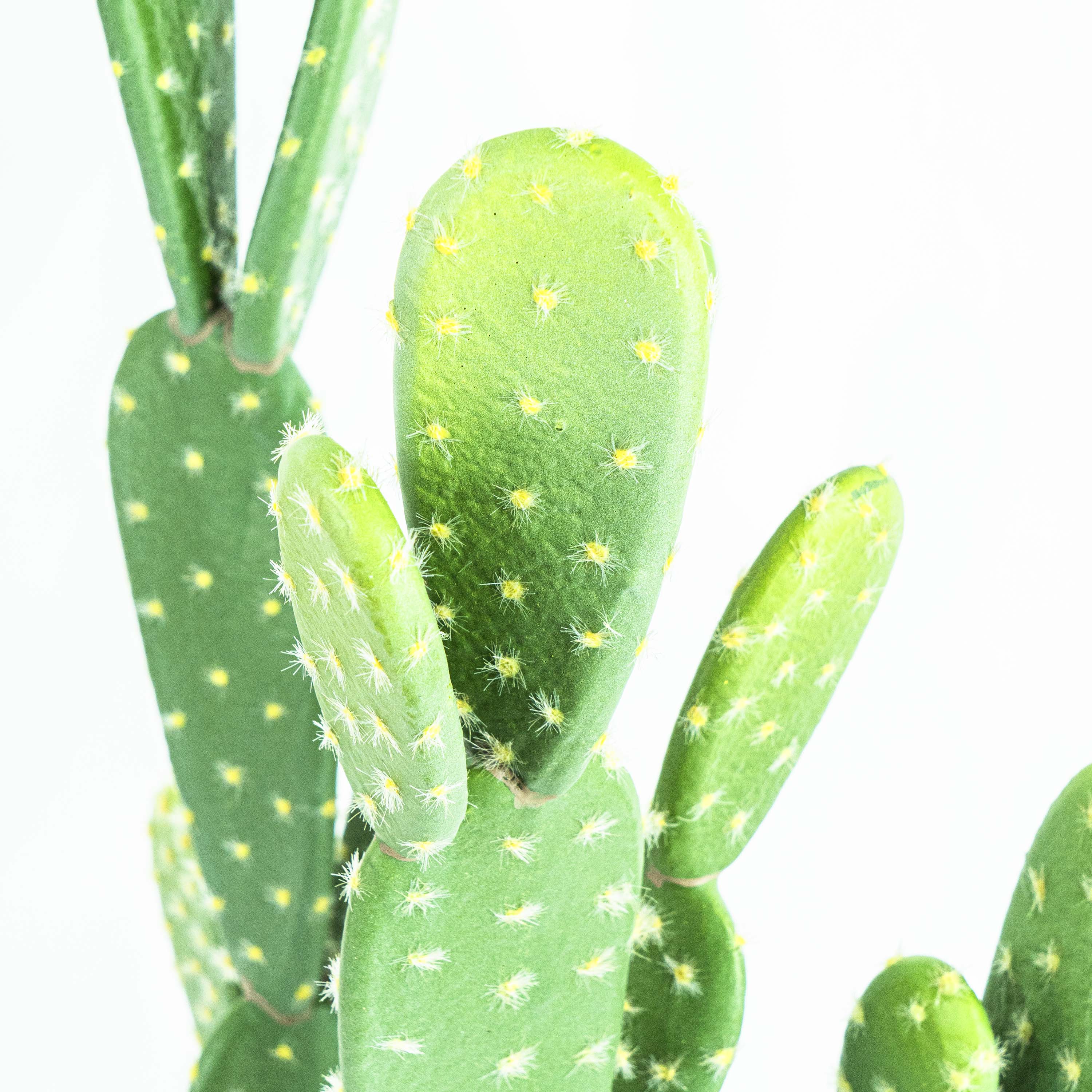 Faux Cactus Plant Small Leaf With Pot
