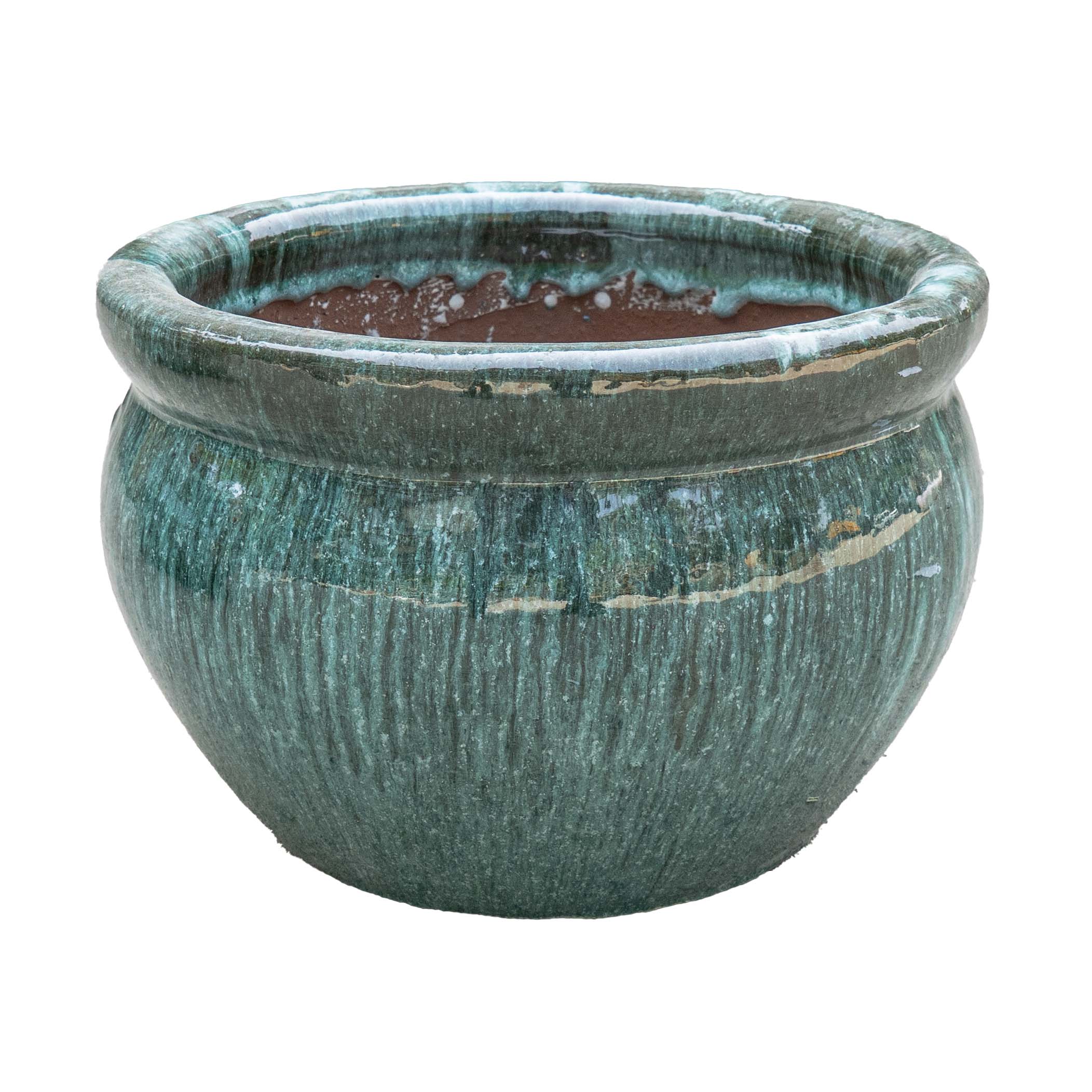 Vetle Pot Moss
