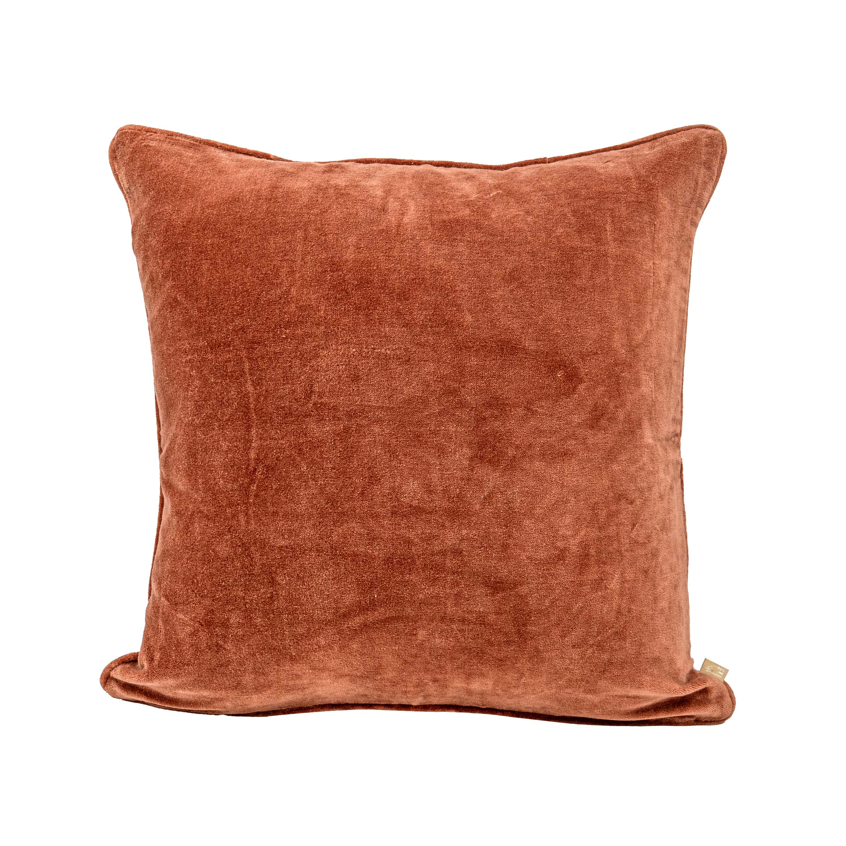 Rhubarb Velvet Cushion Cover