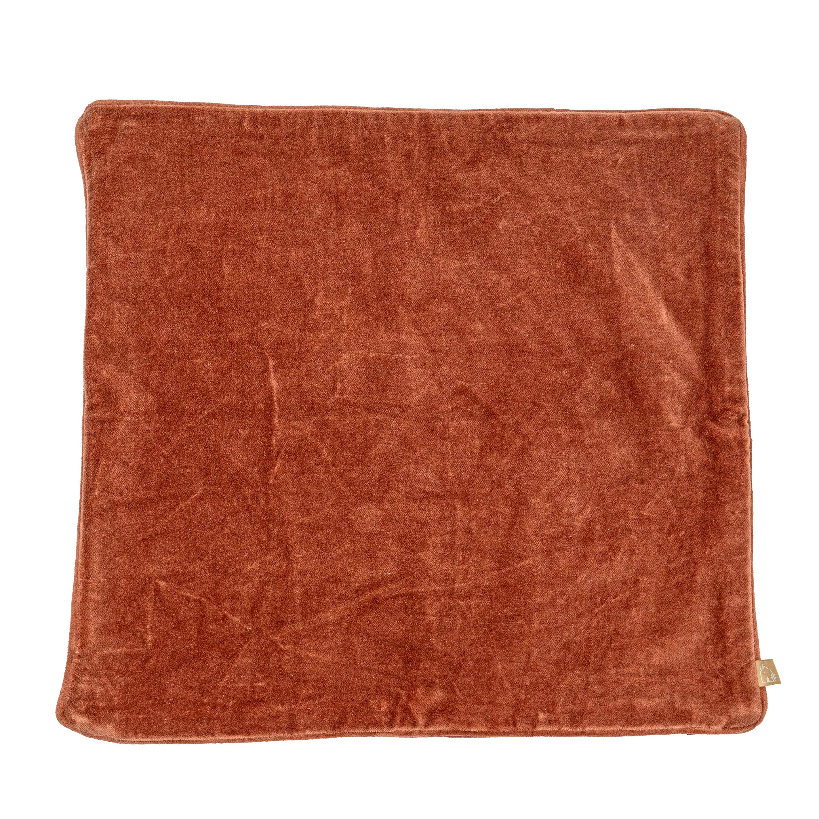 Rhubarb Velvet Cushion Cover