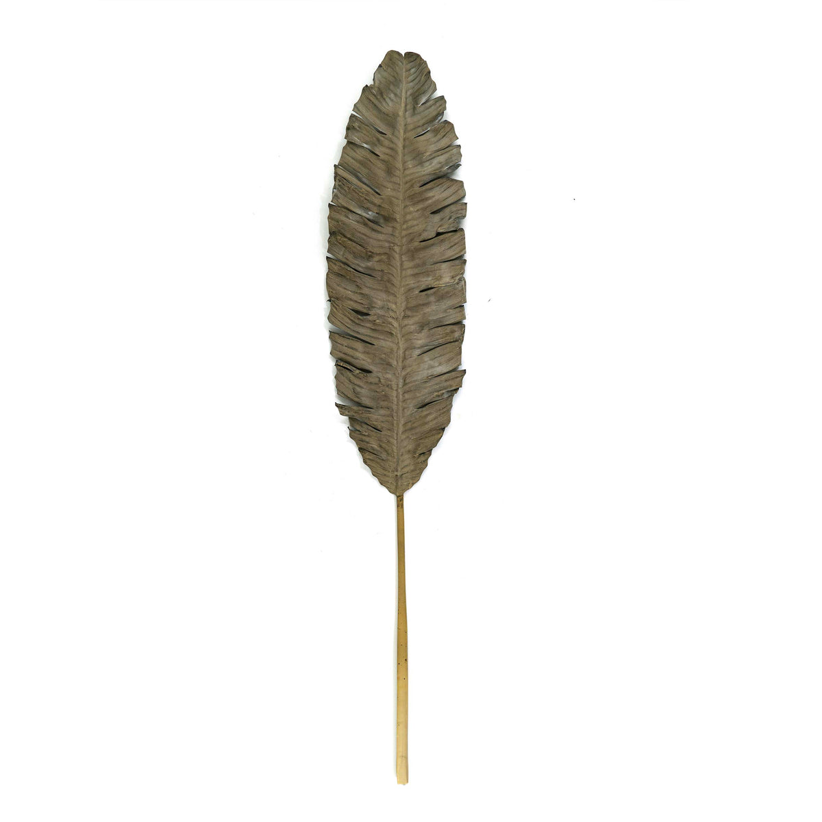 Faux Banana Palm - Grey