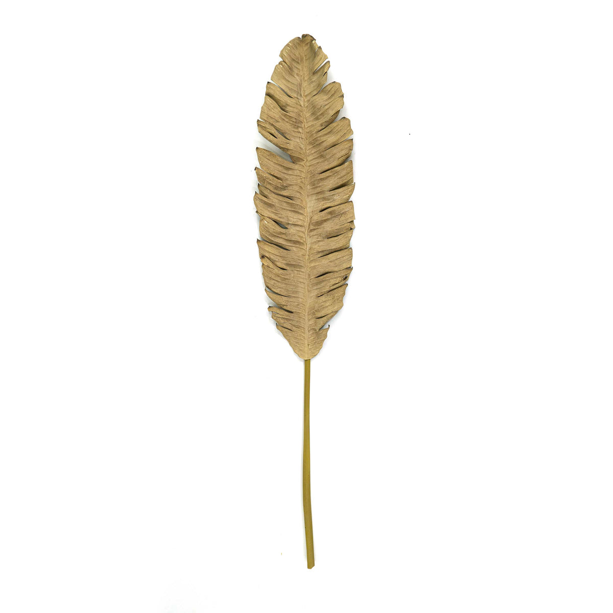 Faux Banana Palm - Beige