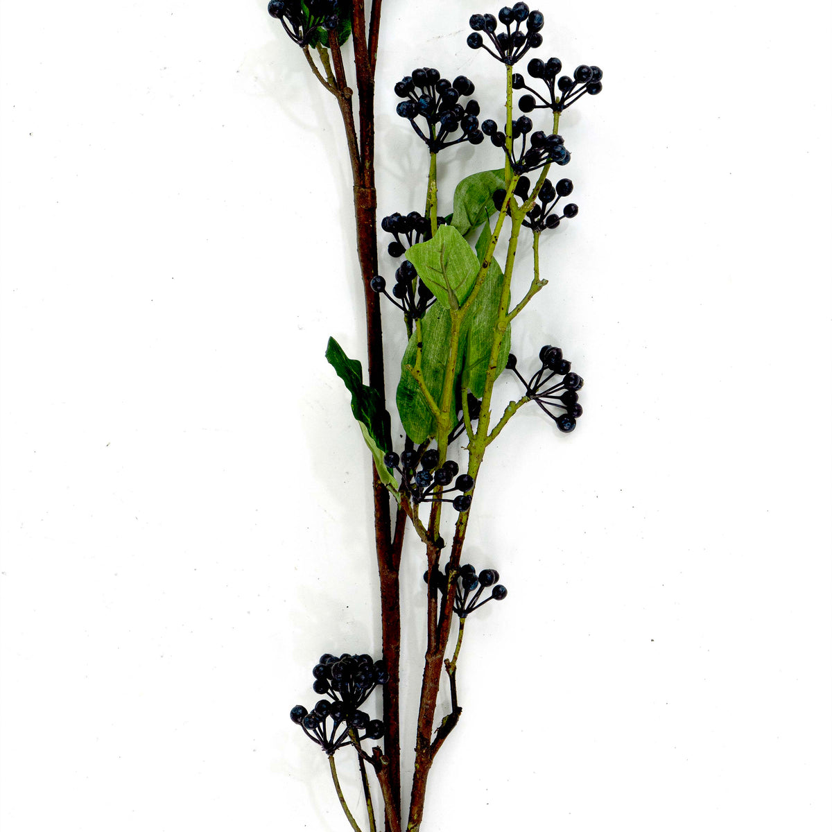 Faux Blackberry Stem