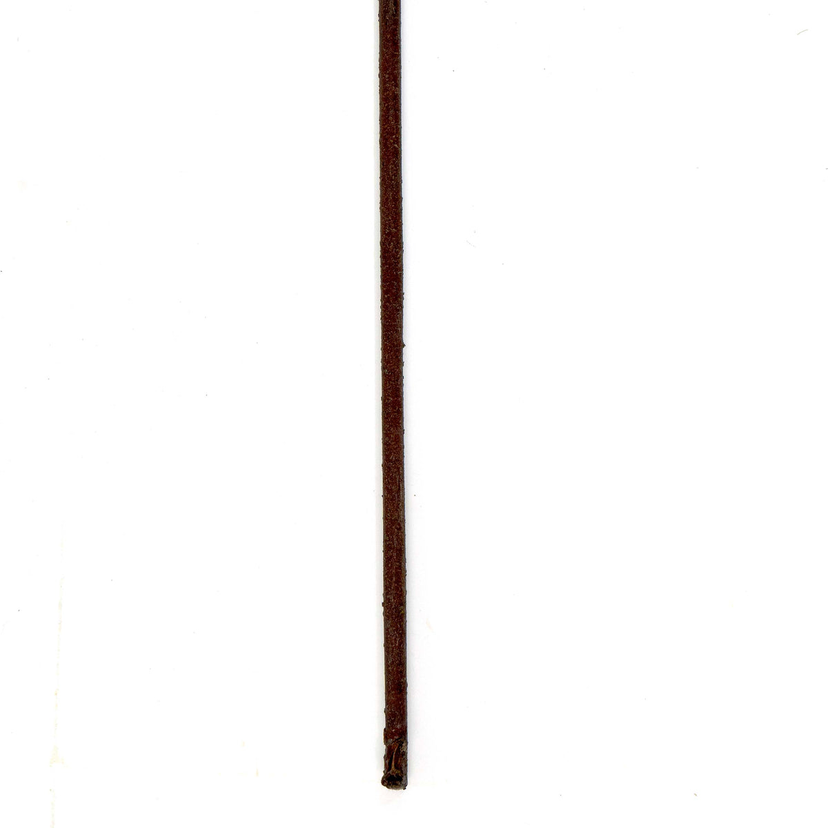 Faux Blackberry Stem