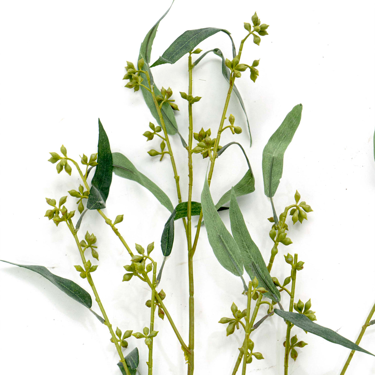 Faux Eucalyptus Stem with Flower Buds