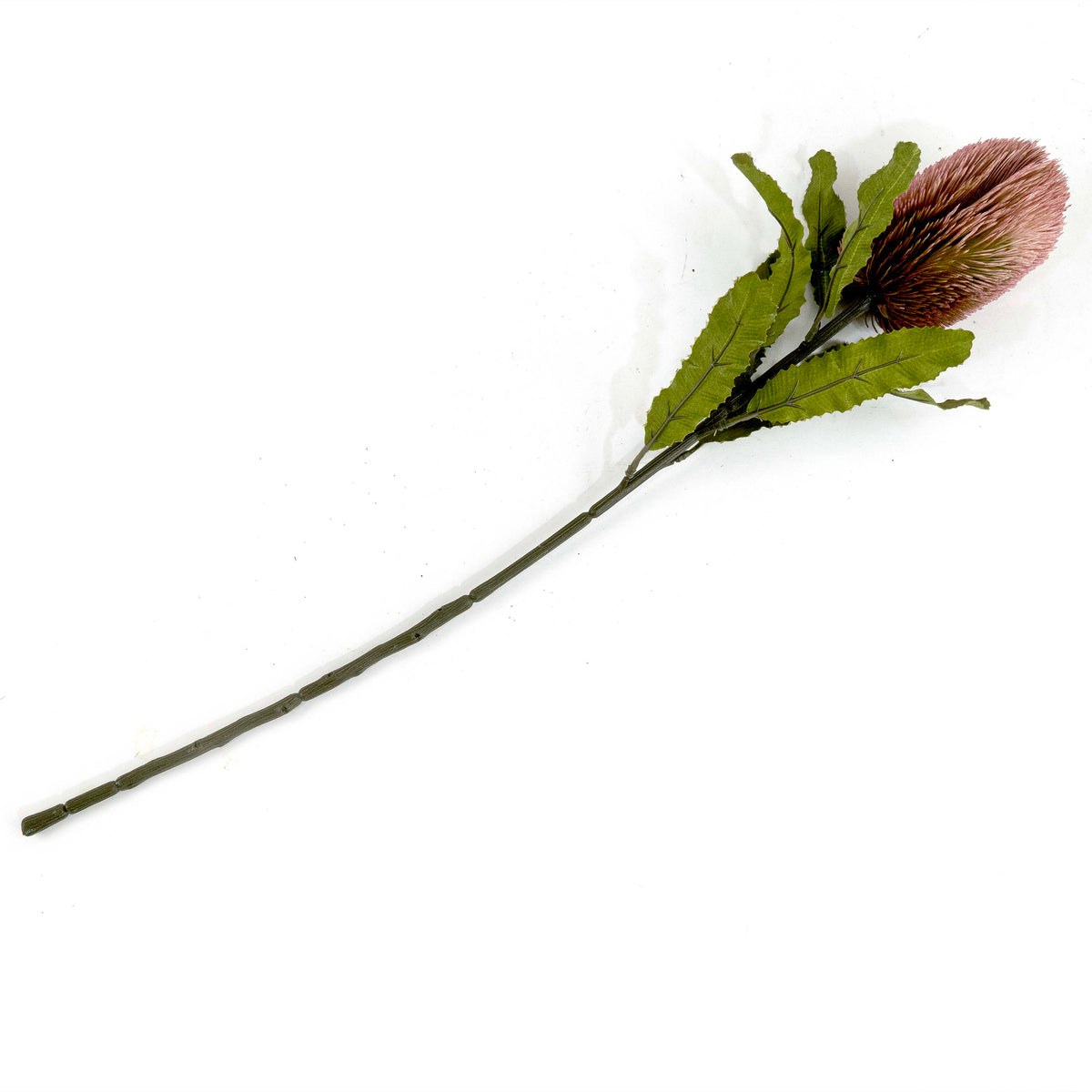Faux Banksia Flower With Foliage in Pink