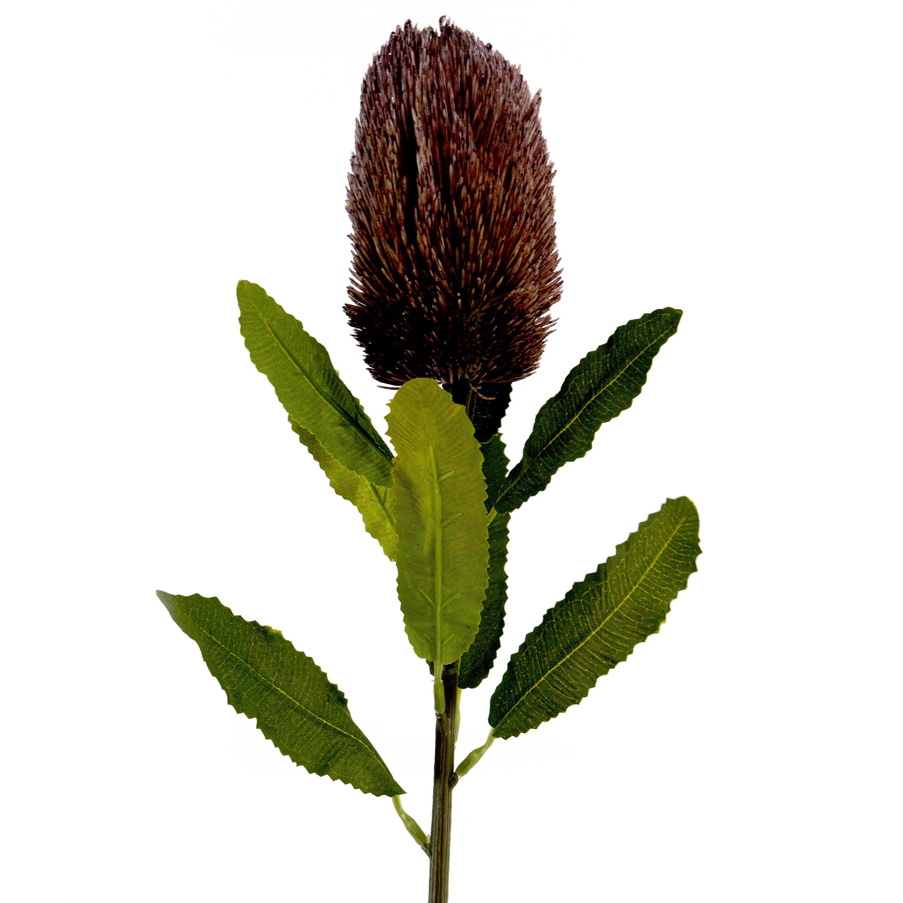 Faux Banksia Flower With Foliage in Lilac