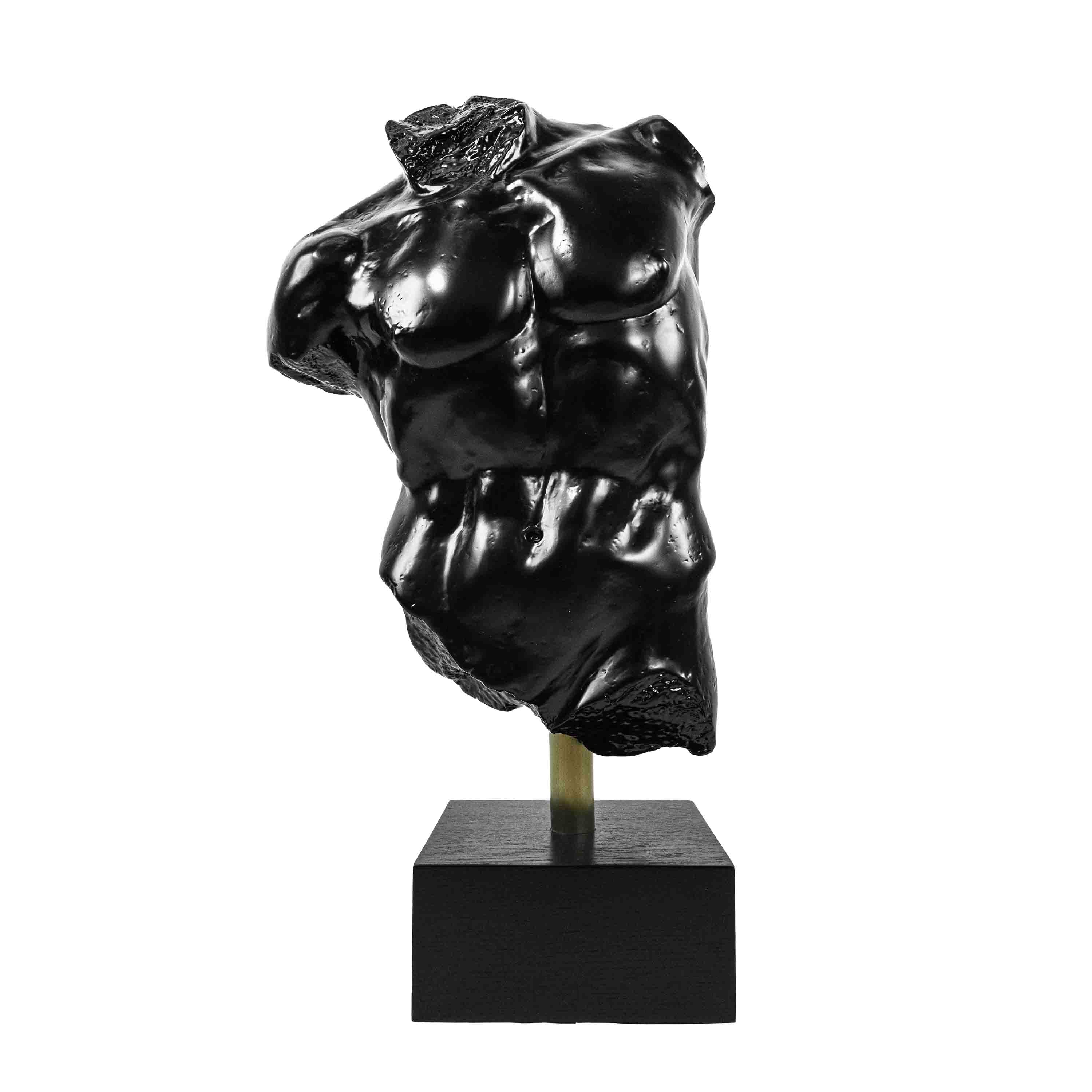 Elegant Male Torso Sculpture